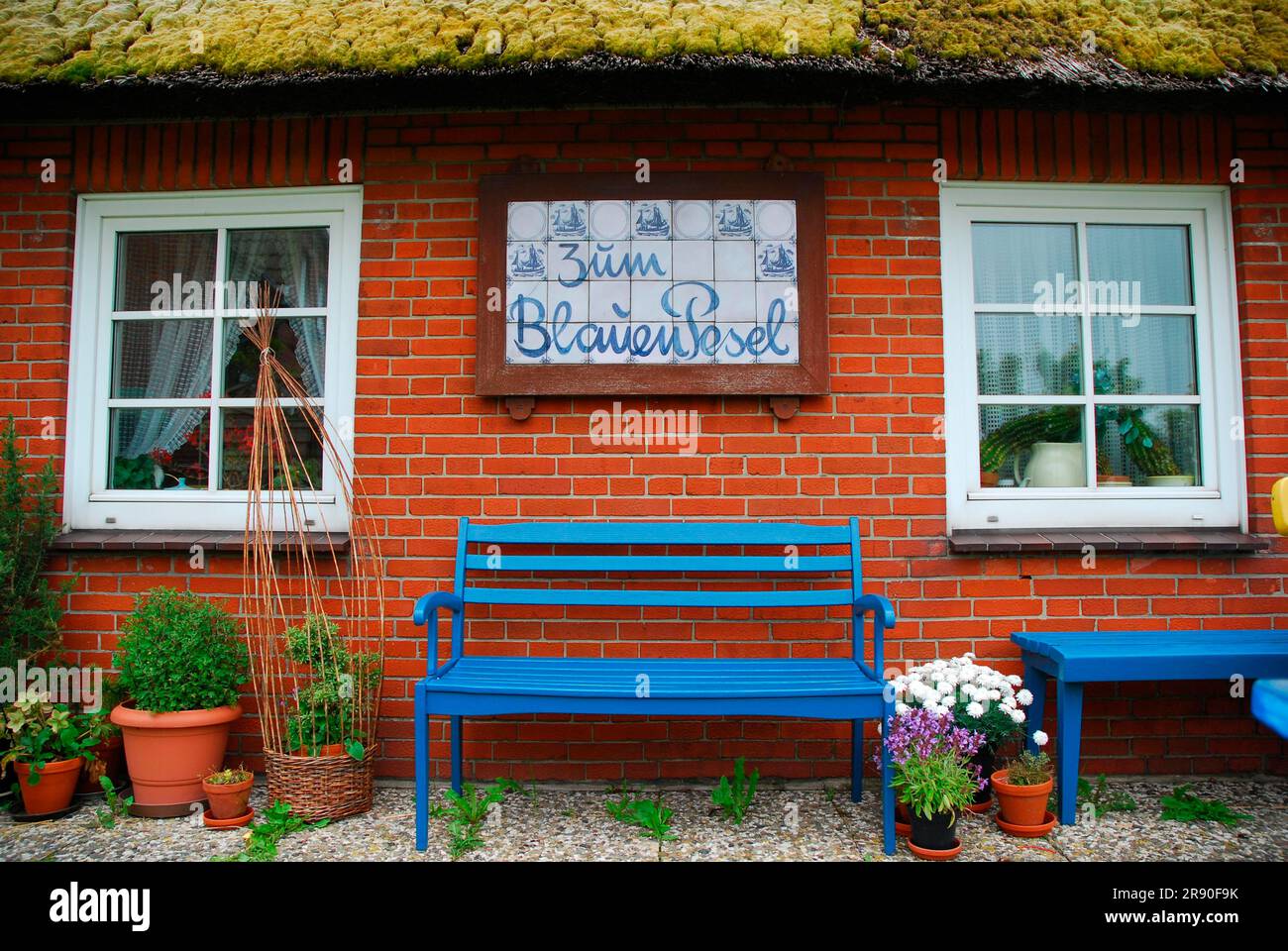 Brick house, Zum blauen Pesel, dwelling mound, Hallig Hooge, Wadden Sea, Blue Pesel, UNESCO World Heritage Site, Schleswig-Holstein, Germany Stock Photo