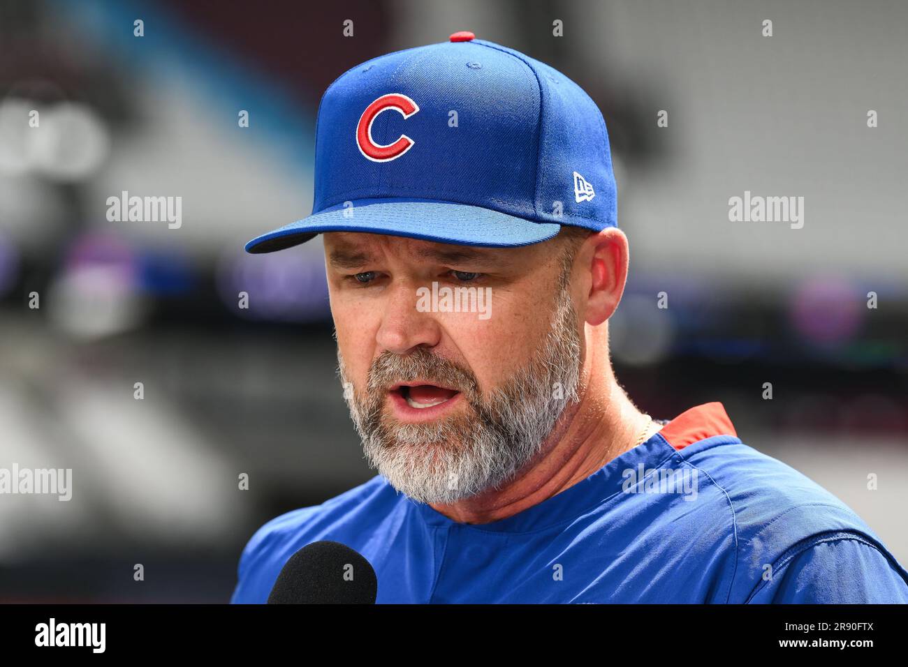 David Ross #3 Manager of the Chicago Cubs during an interview
