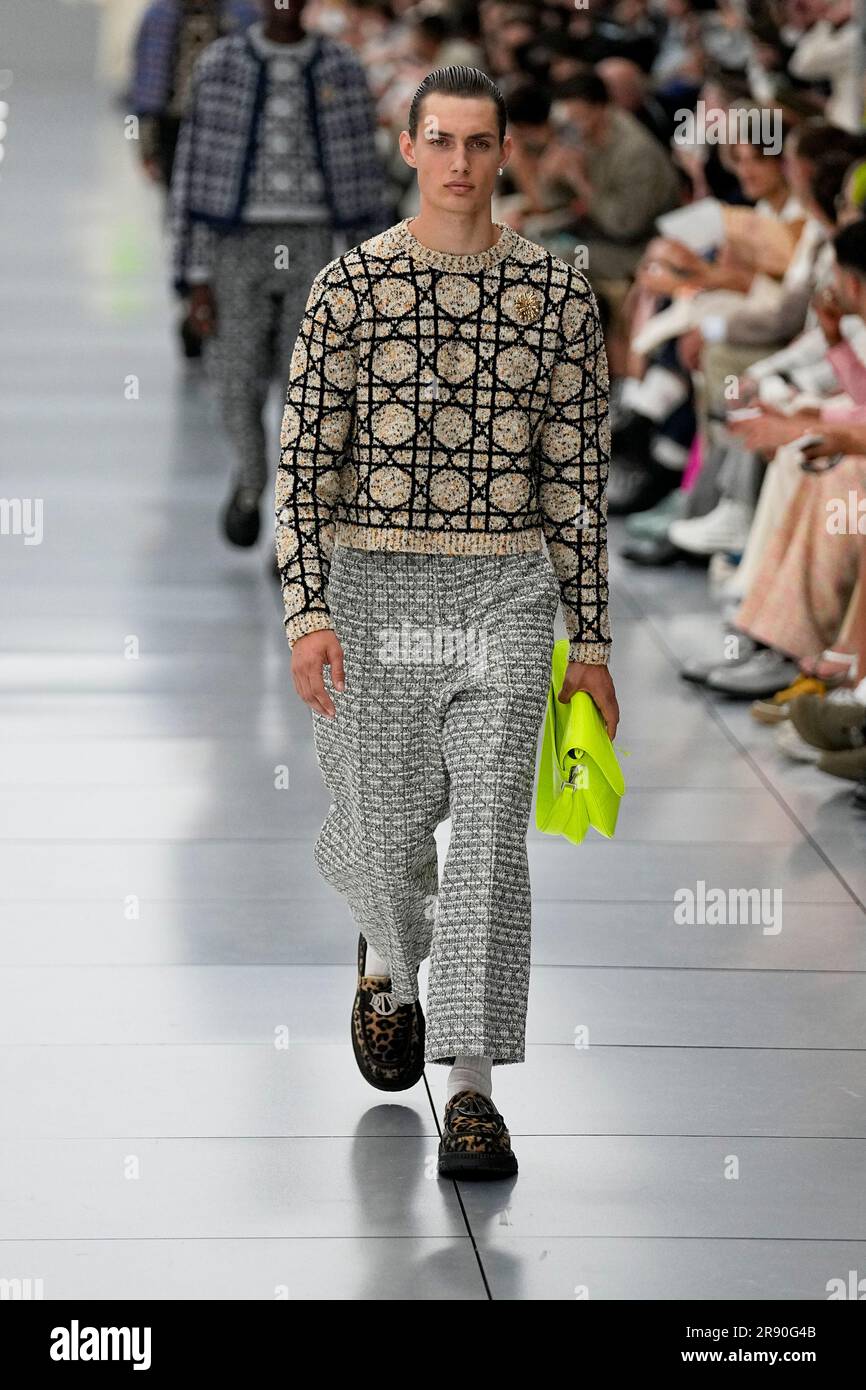 A model wears a creation for the Dior Menswear Spring/Summer 2024 ...