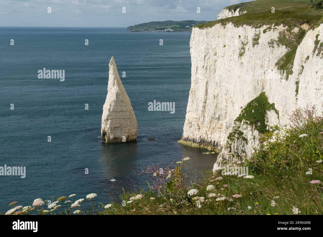Chalk Rocks, Old Harry Rocks, Dorset, Purbeck Peninsula, England ...