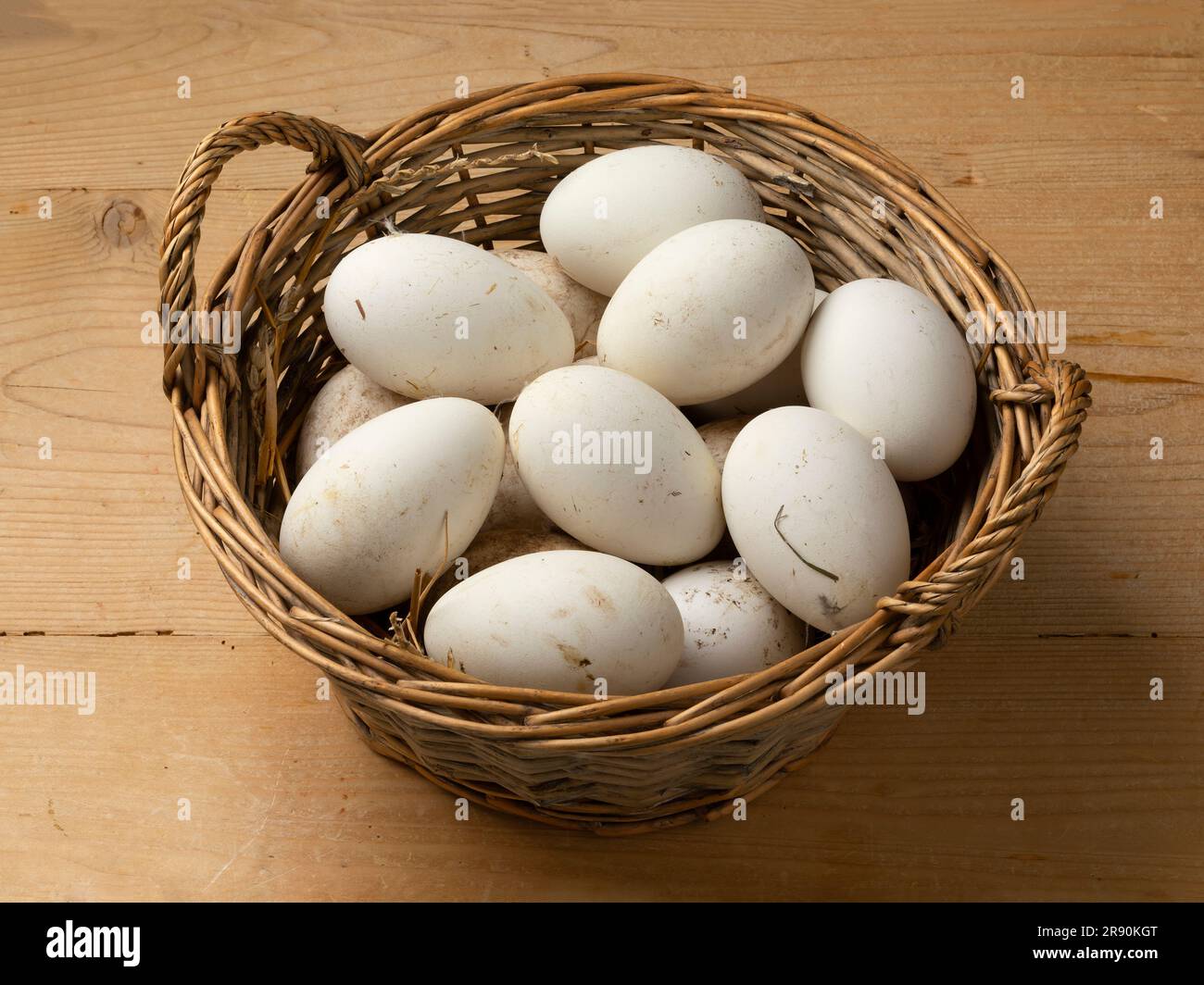 Basket with fresh picked white large goose eggs close up Stock Photo