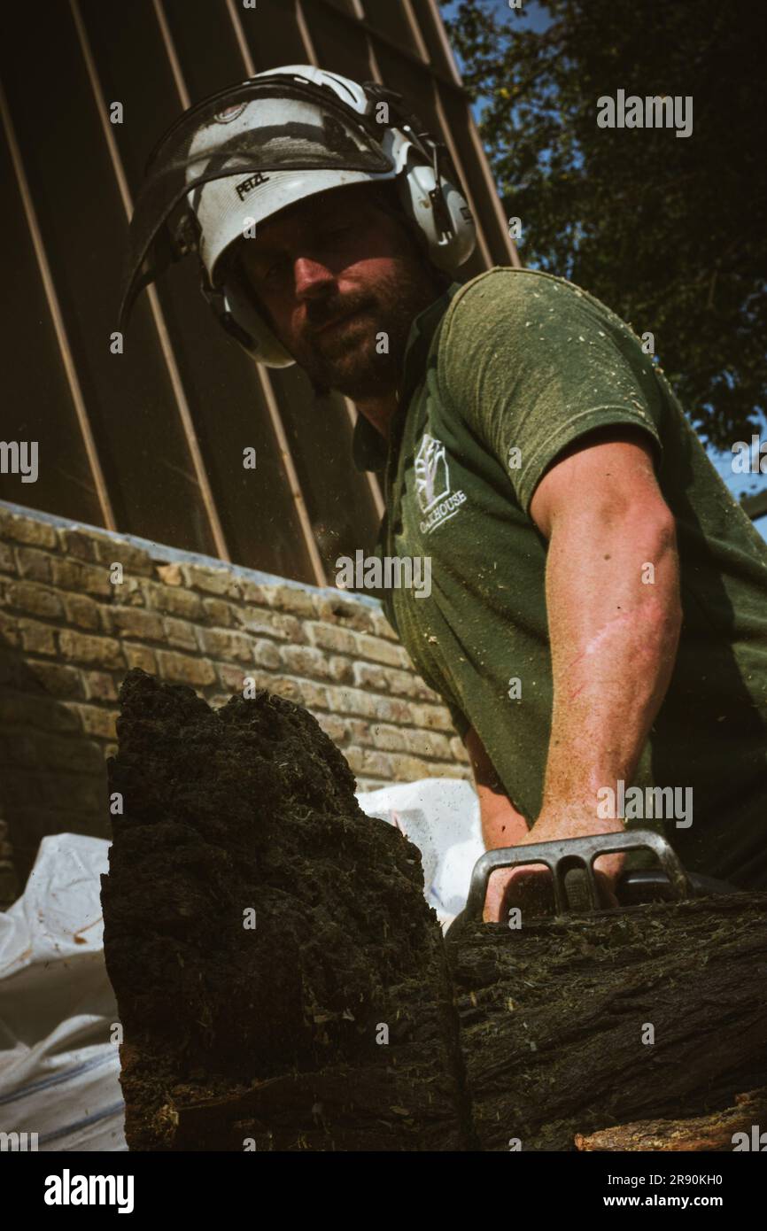Man cutting down tree chainsaw hi-res stock photography and images - Alamy