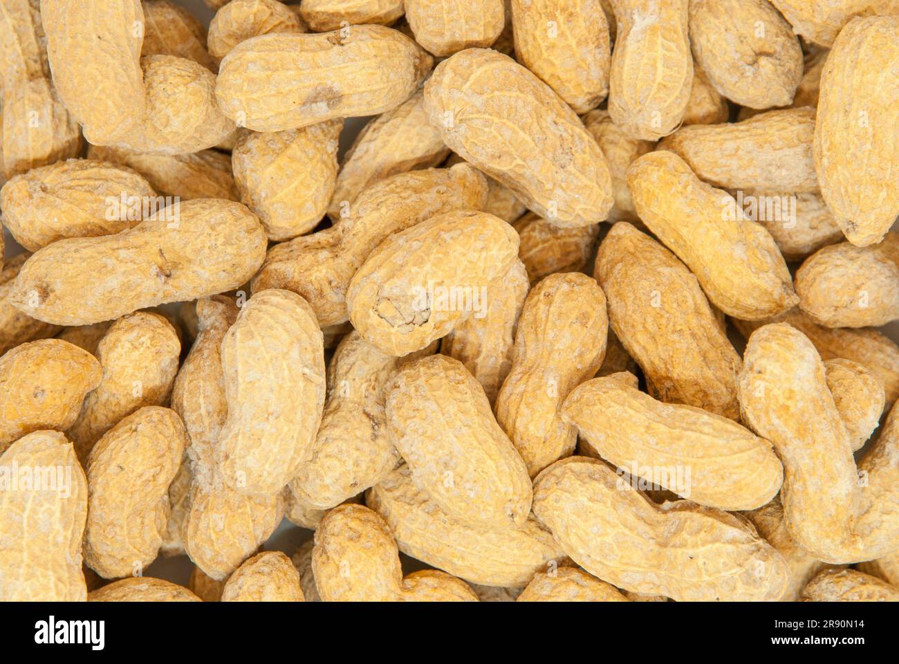 salted peanuts in the shell Stock Photo Alamy