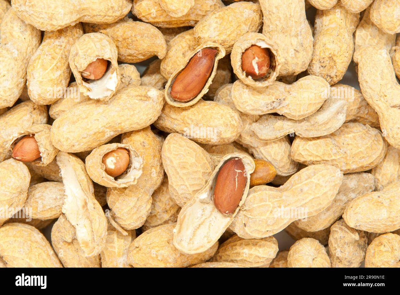 salted peanuts in the shell Stock Photo Alamy