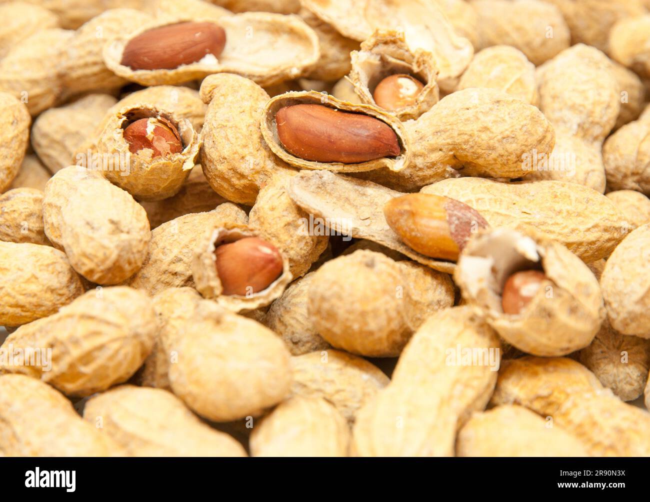 salted peanuts in the shell Stock Photo Alamy