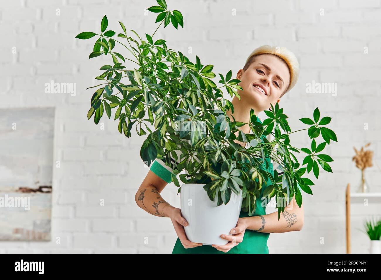 eco-conscious lifestyle, positive and stylish tattooed woman with green foliage plant in flowerpot looking at camera in modern living room, sustainabl Stock Photo