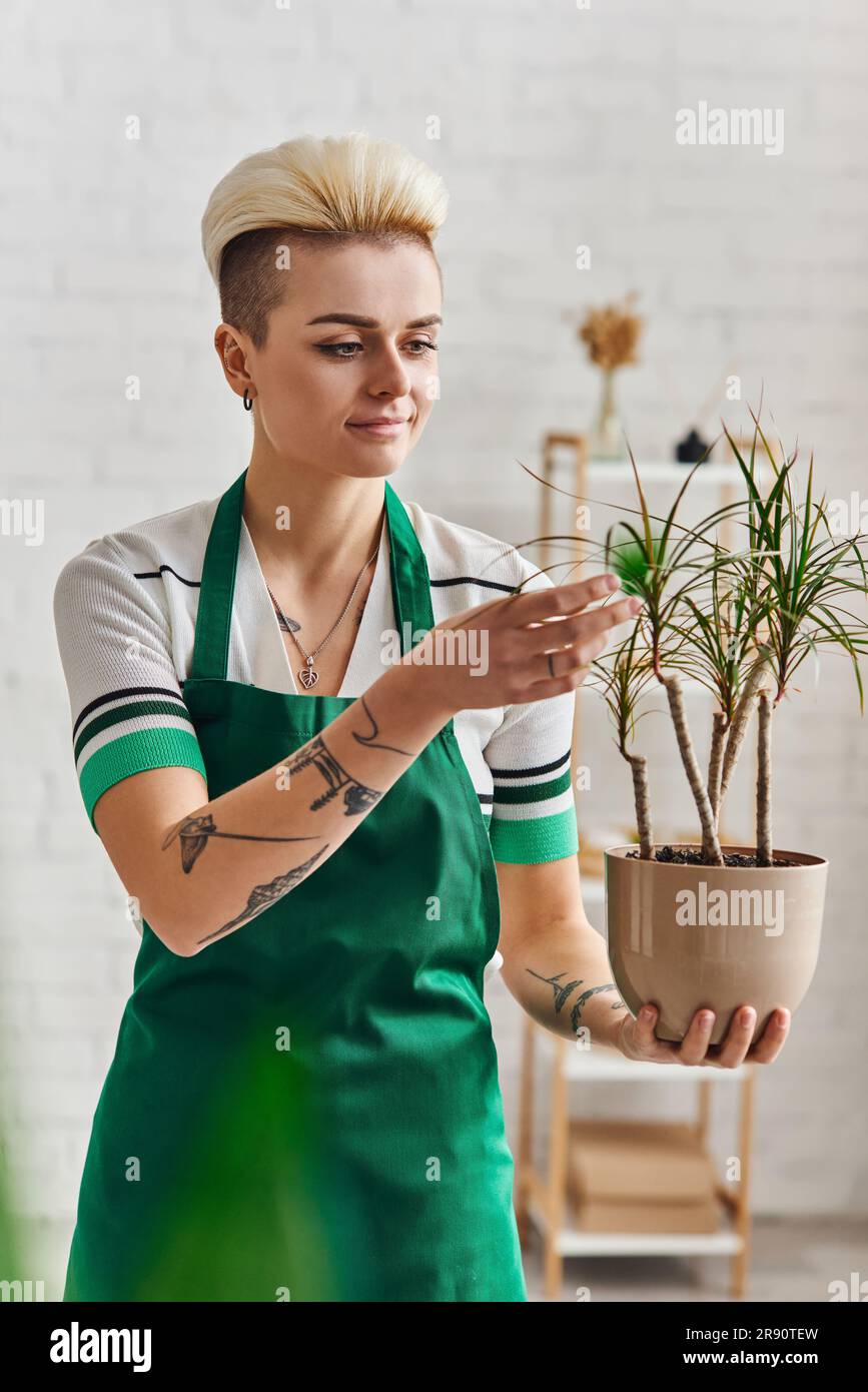 eco-conscious mindset, positive and tattooed woman in green apron touching exotic plant in flowerpot while standing in modern living room, sustainable Stock Photo