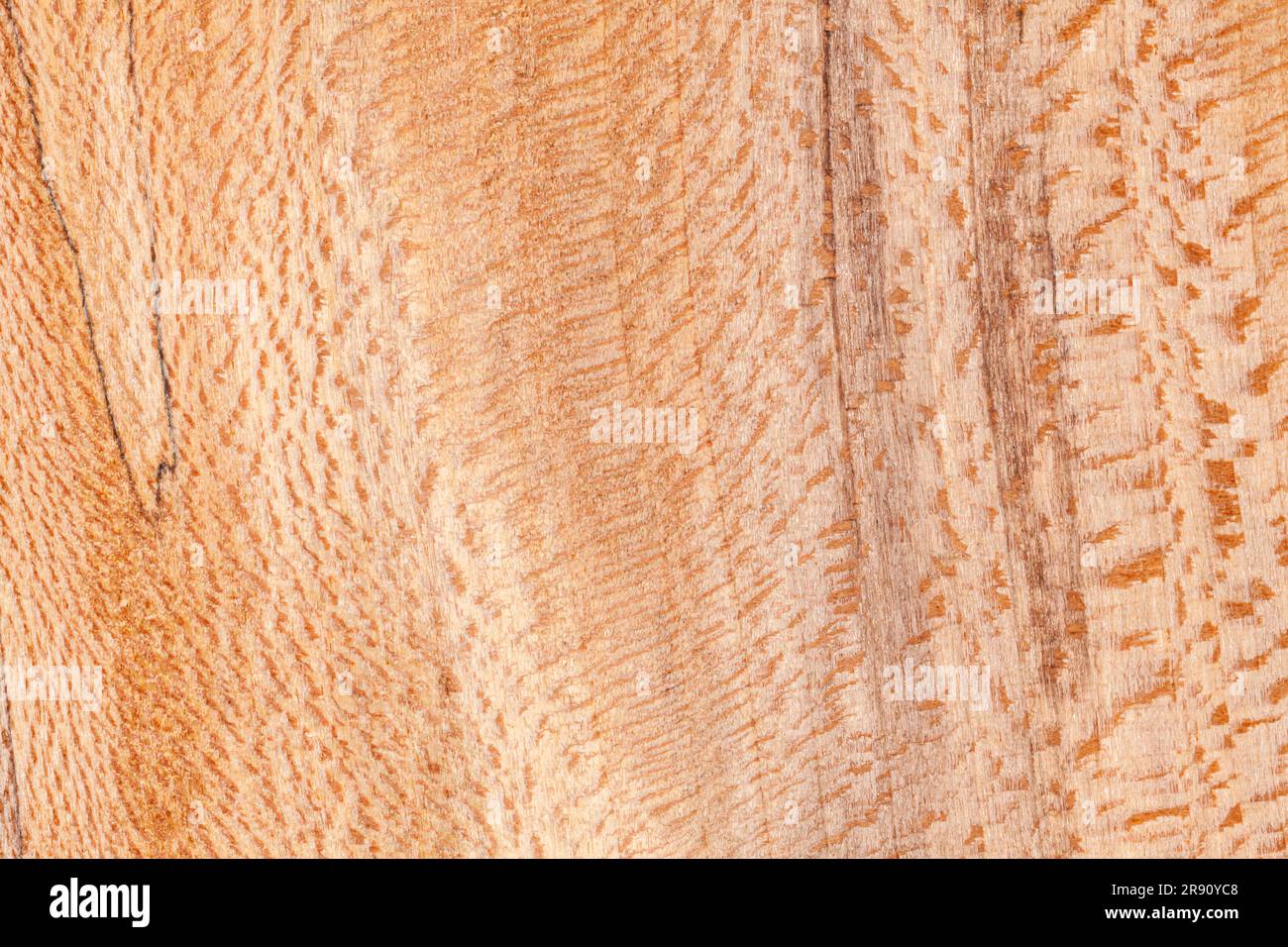 Spalted sycamore wood detail Stock Photo Alamy