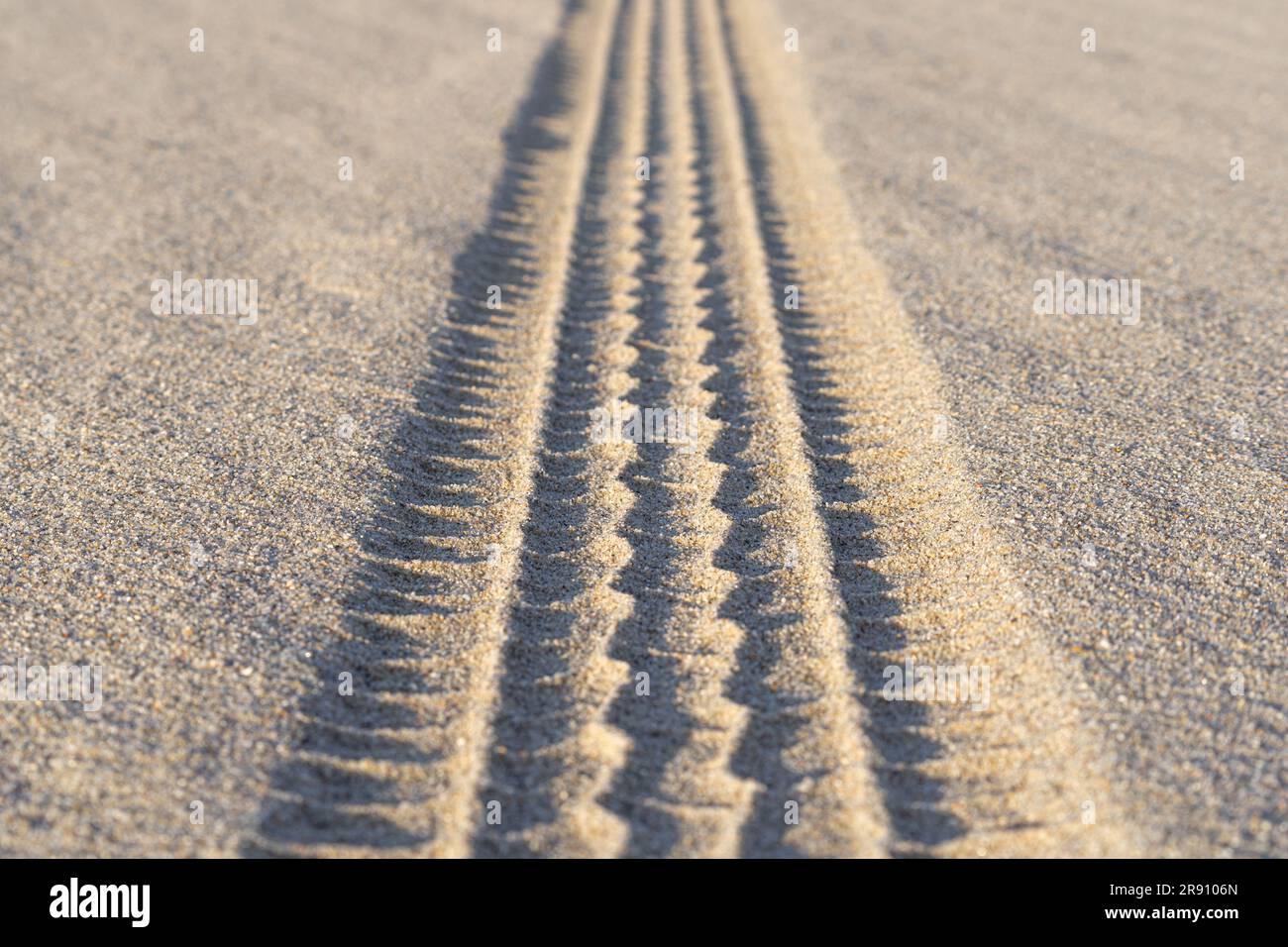 Car tire trail on the beach sand Stock Photo Alamy