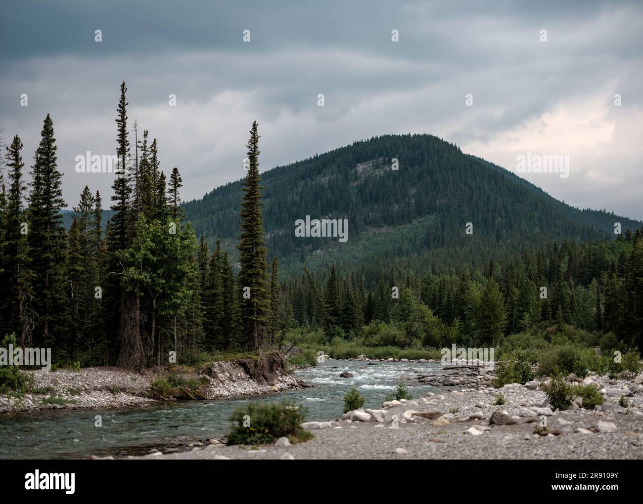 Bragg creek provincial park hi-res stock photography and images - Alamy