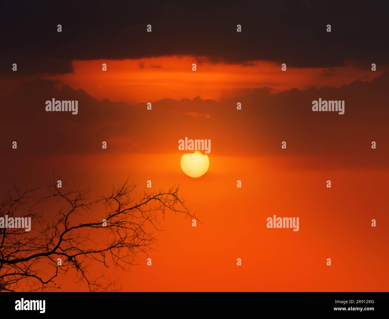 Sunset Fall Red Beautiful red sunset tree hi-res stock photography and images - Alamy