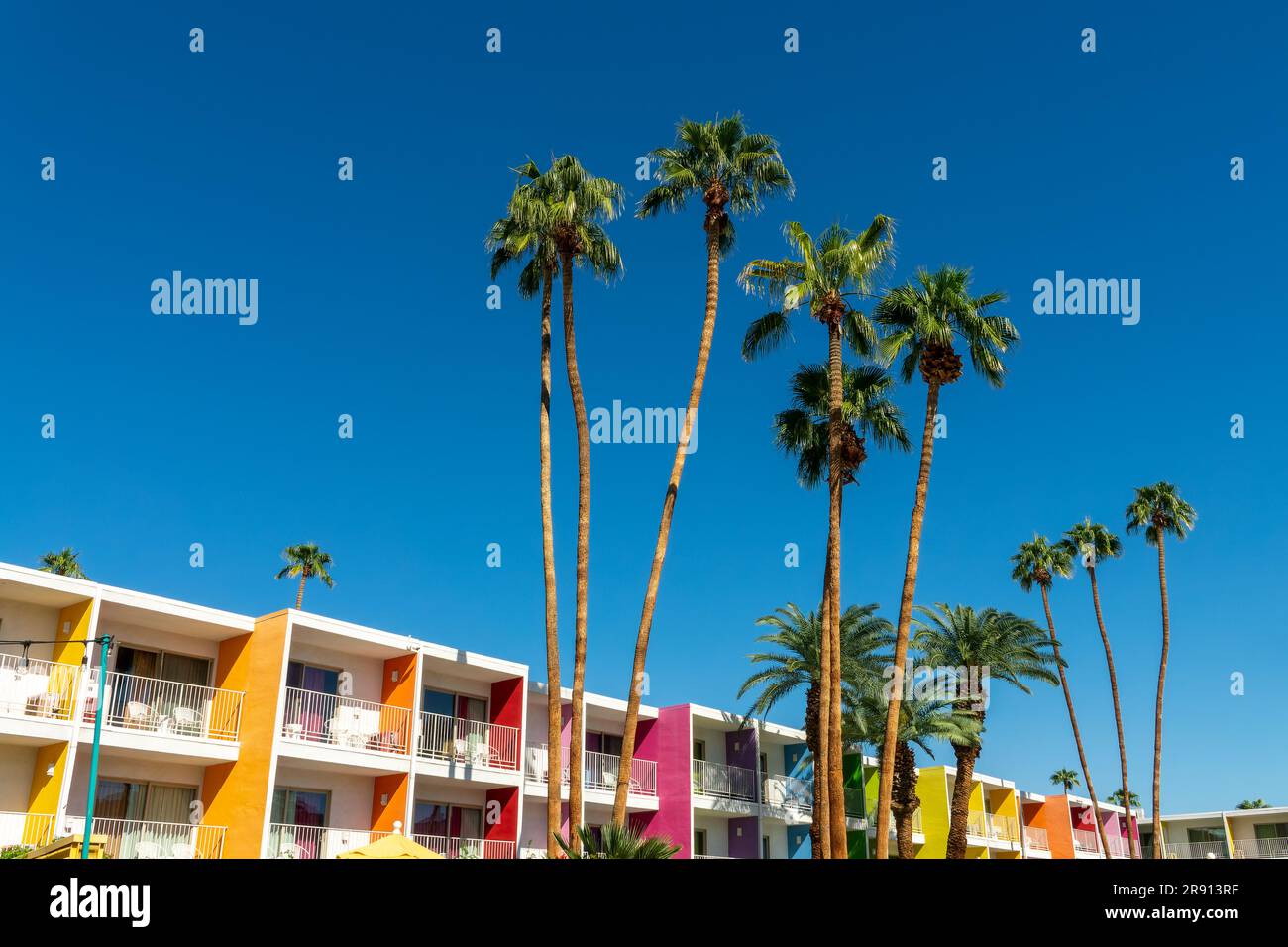 Saguaro hotel, palm trees and colorful architecture in Palm Springs, California Stock Photo