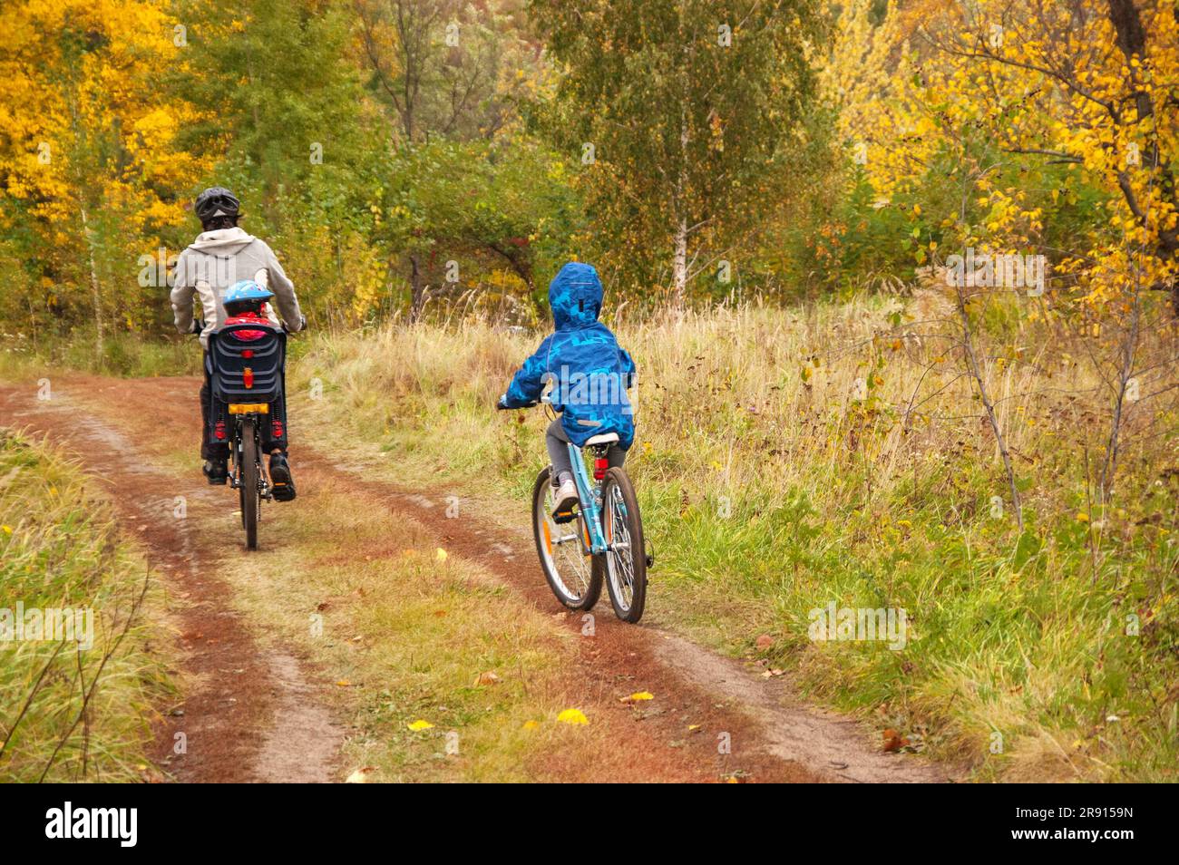 Family cycling in golden autumn park, active father and kids ride bikes, family sport and fitness with children outdoors Stock Photo
