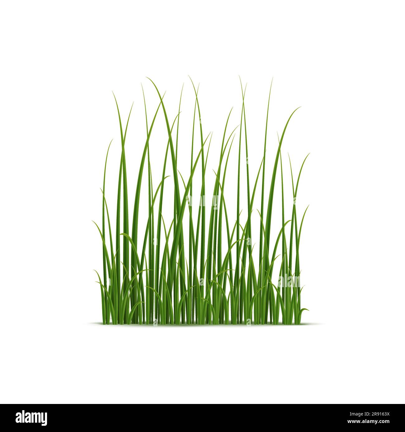 Wetland environments Stock Vector Images Alamy