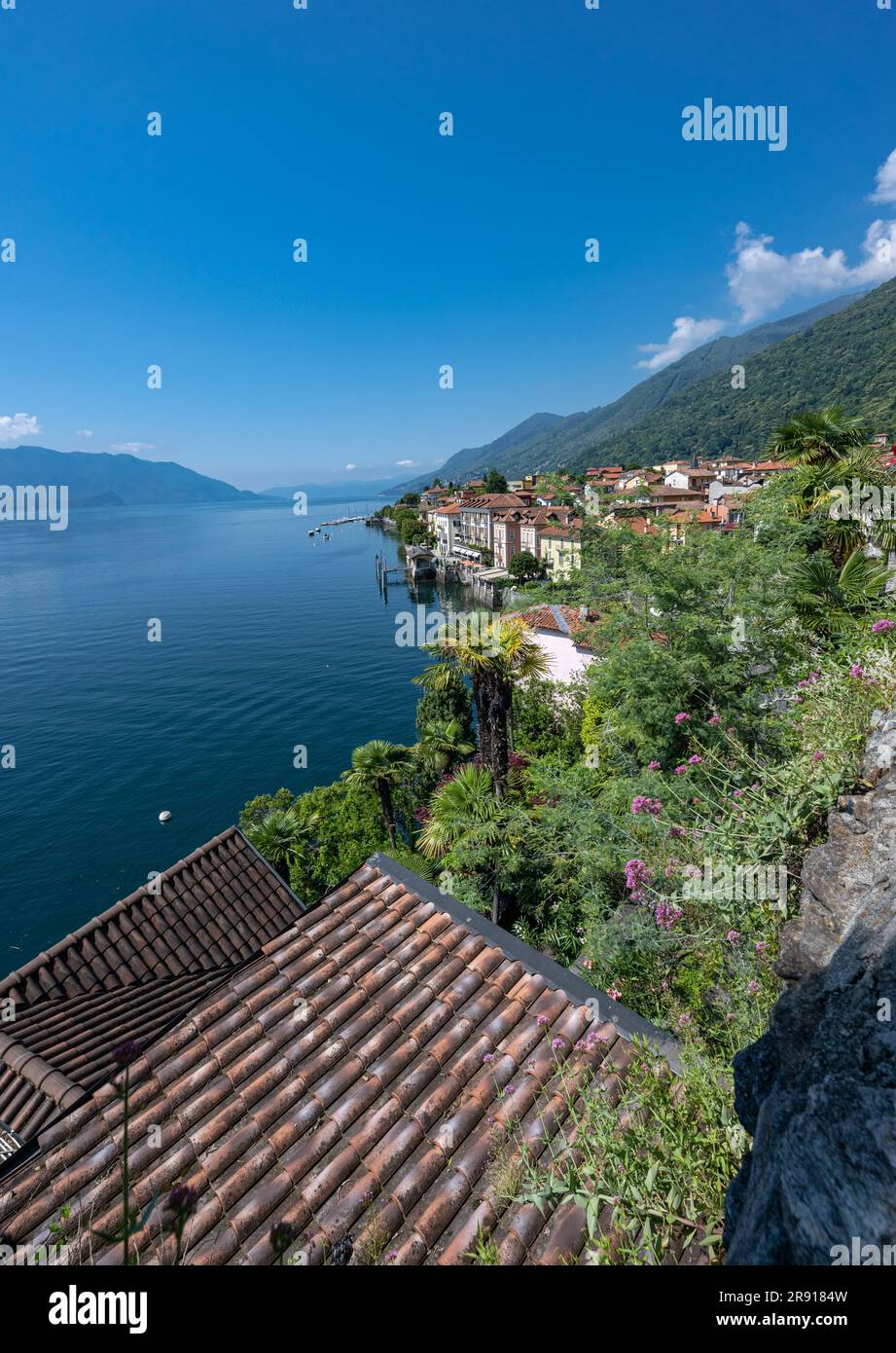 Cannero Riviera, Lake Maggiore. Panoramic view from the seafront of the old town. Piedmont, Italian Lakes, Italy, Europe Stock Photo