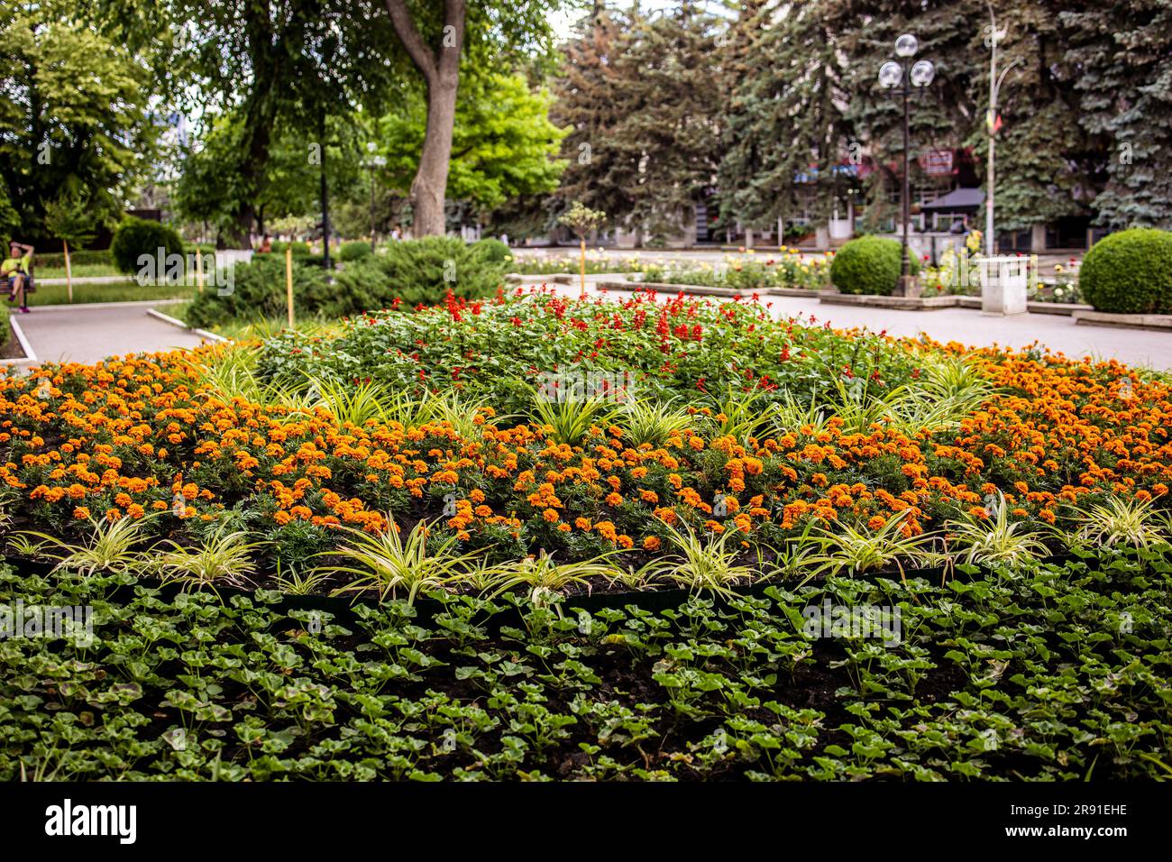 A circle of very beautiful flowers in a beautiful park in Moldova Stock Photo Alamy