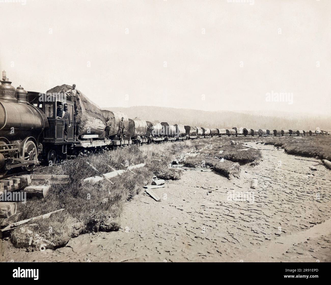 Freshwater, Caifornia:  c. 1900 A  Excelsior Redwood Company logging train in Humboldt County with each car carrying a single log on its way to the mill. Photograph is by August William Ericson. Stock Photo