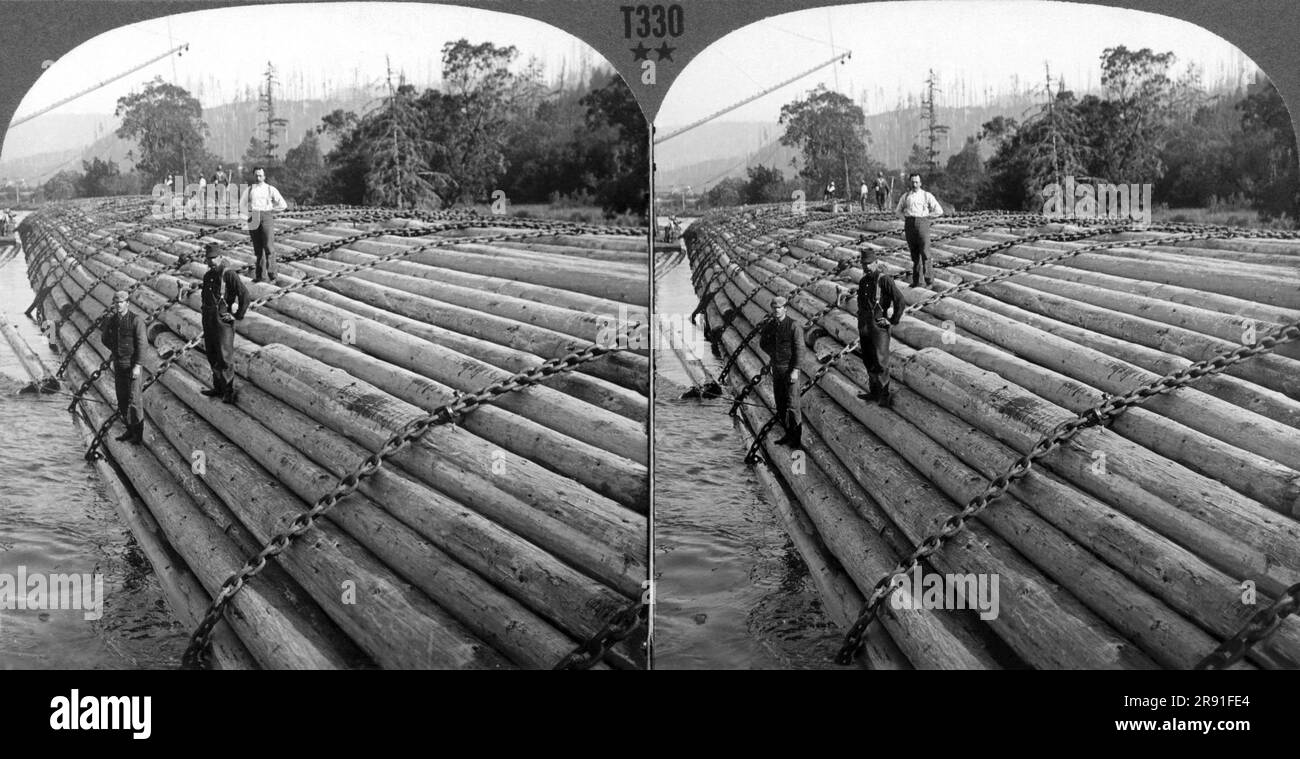 Oregon:  c. 1905 A stereocard of a huge raft of timber being floated down the Columbia River and then from there it went down the coast to San Francisco. This raft is actually twice the size ot what is visible. Stock Photo