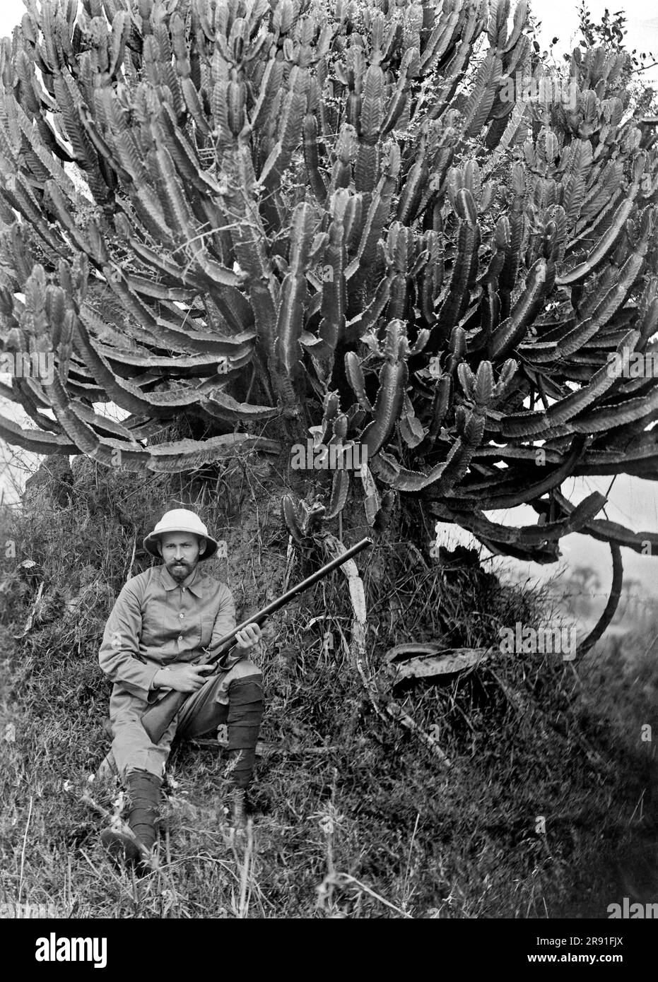 Africa: c. 1918. A man, possibly botanist Homer L. Shantz, holding a rifle and is seated on the ground in front of a large rubber tree. Stock Photo