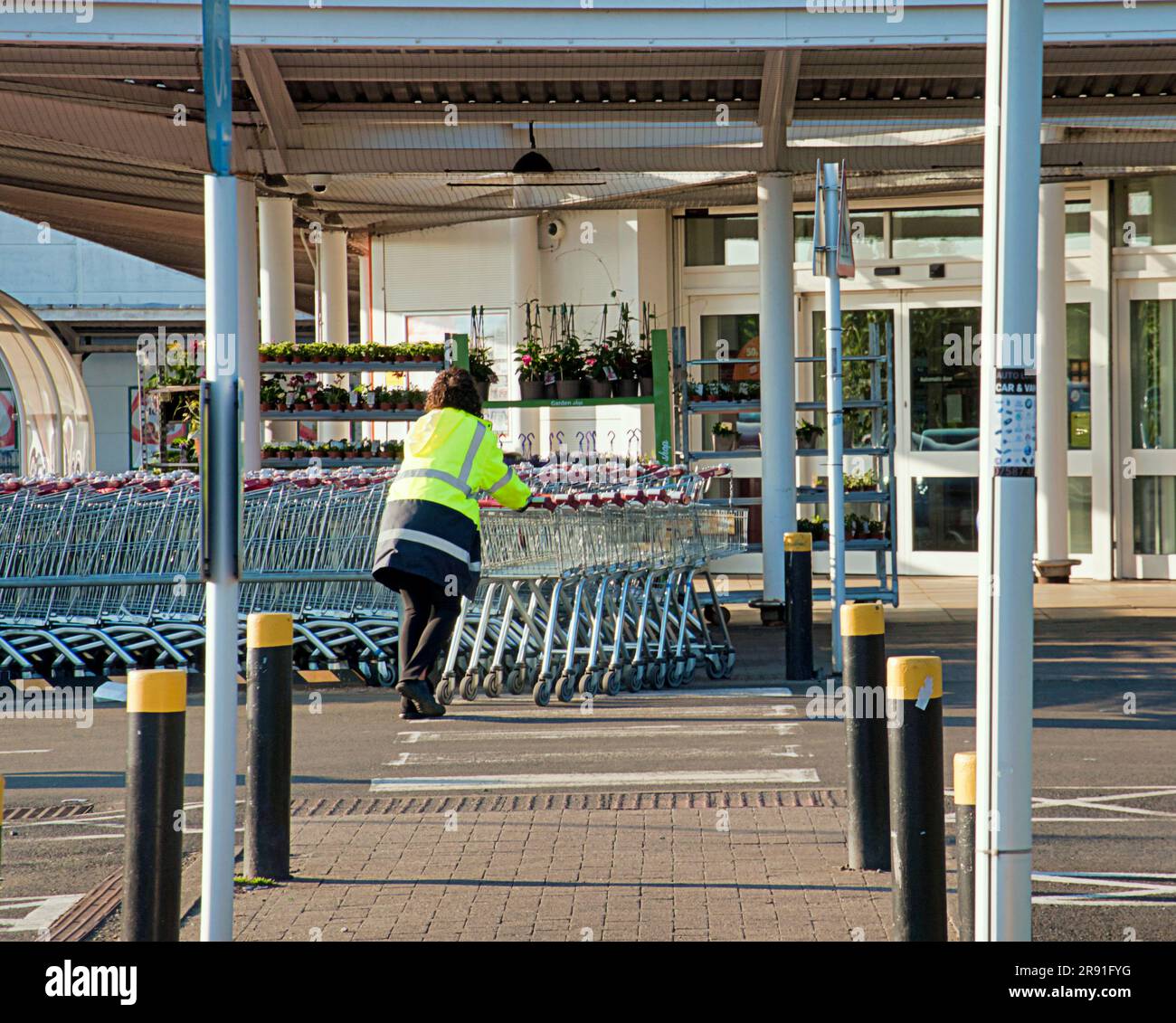 worker collects and pushes shopping trolleys back to store Stock Photo