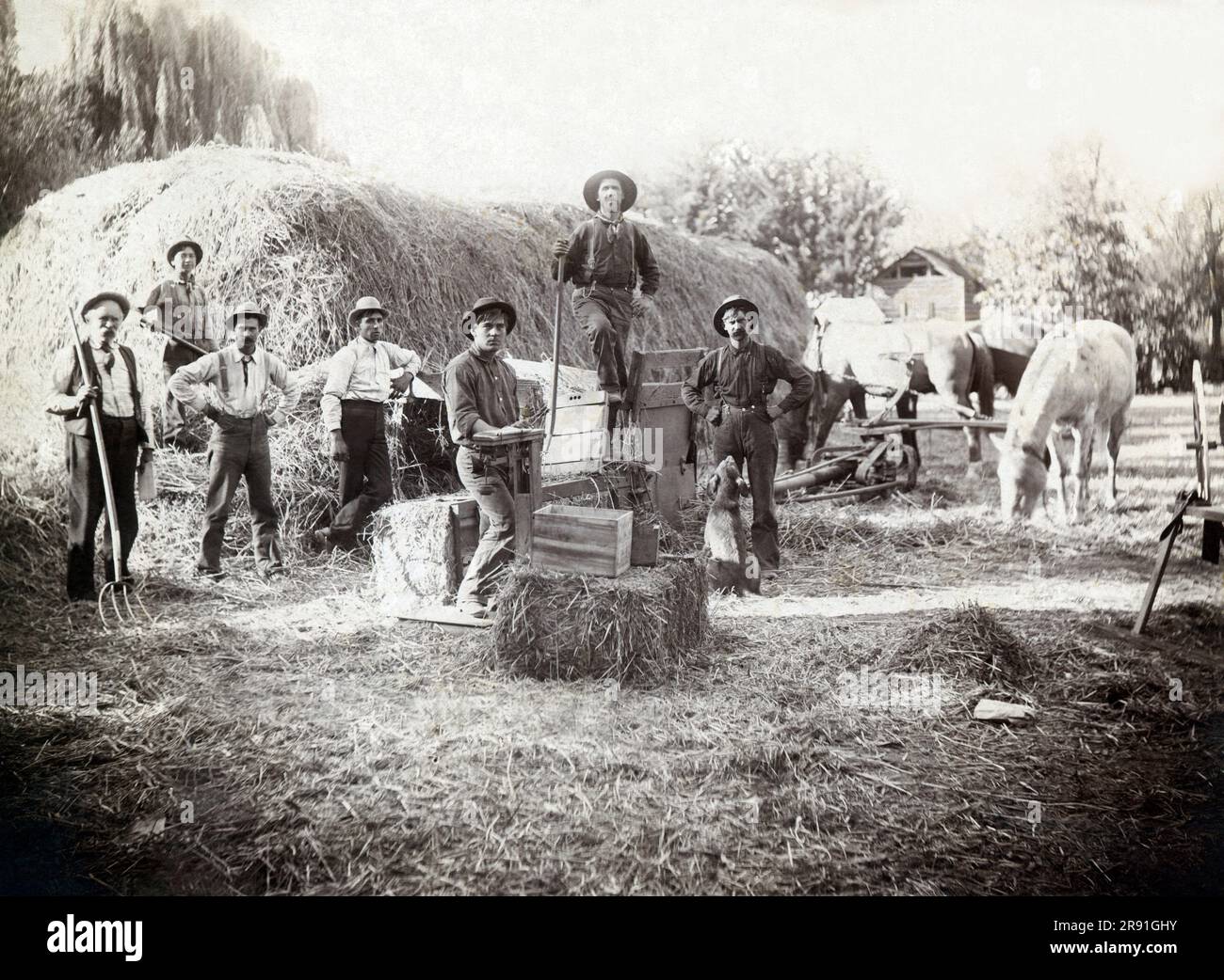 United States c. 1890 A farmer and his workers using a Finley's Hay