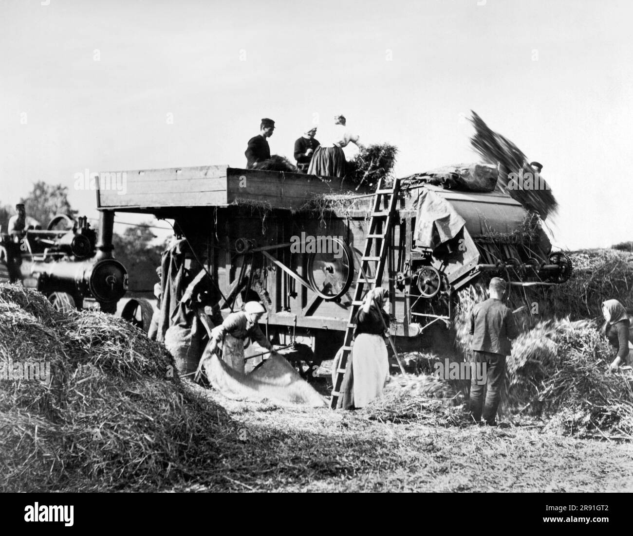 Queensferry, Scotland:  c. 1924 Farming families threshing oats with a steam powered thresher. Stock Photo