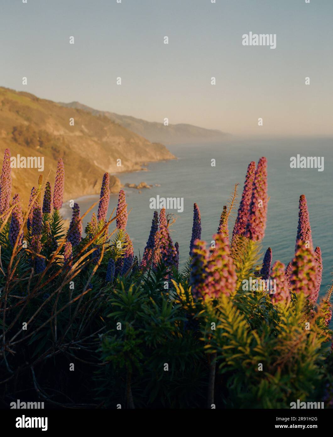 Sunset in Big Sur along the beautiful highway 1 Stock Photo - Alamy