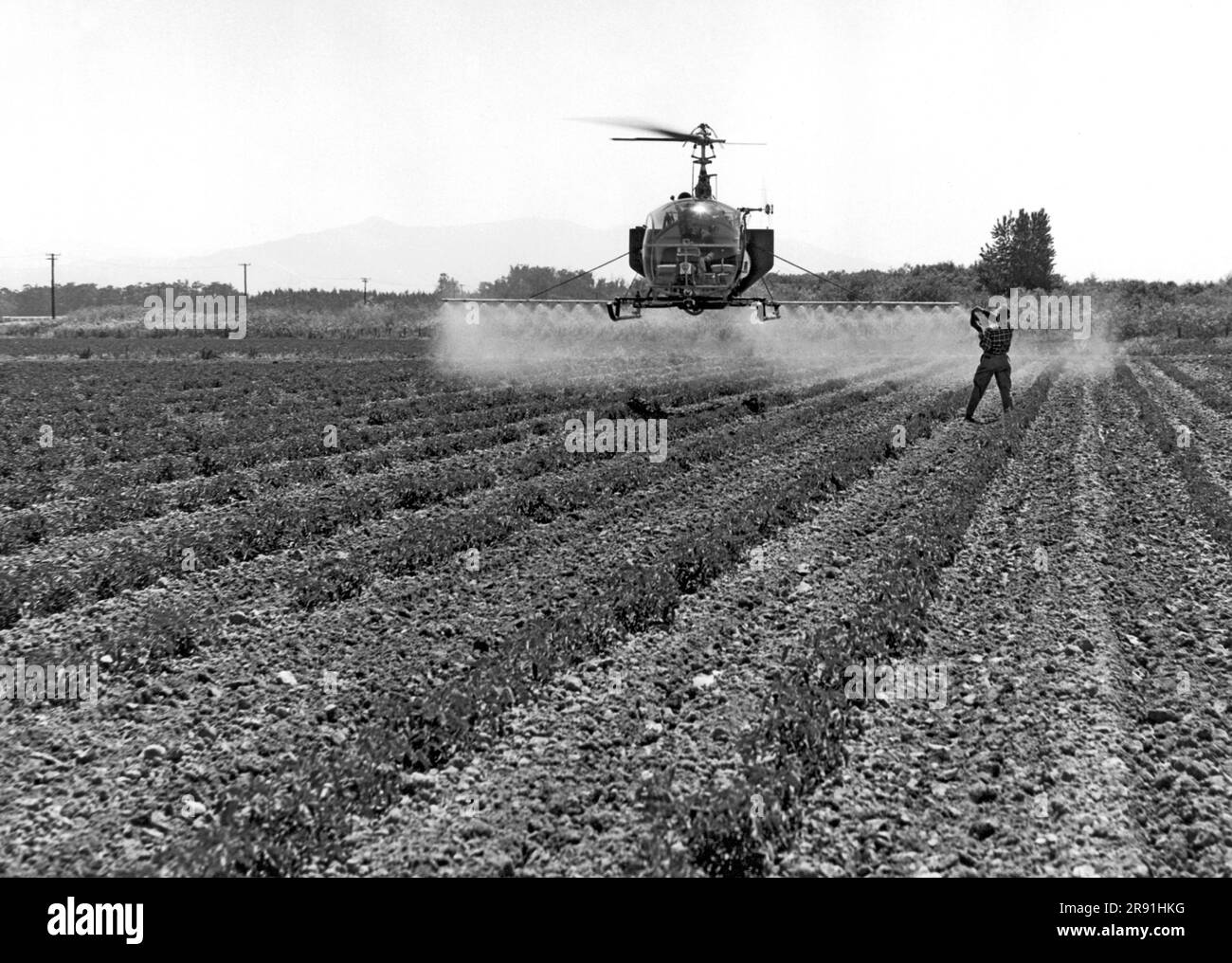 United States: c. 1966 A helicopter in flight as it does a very low