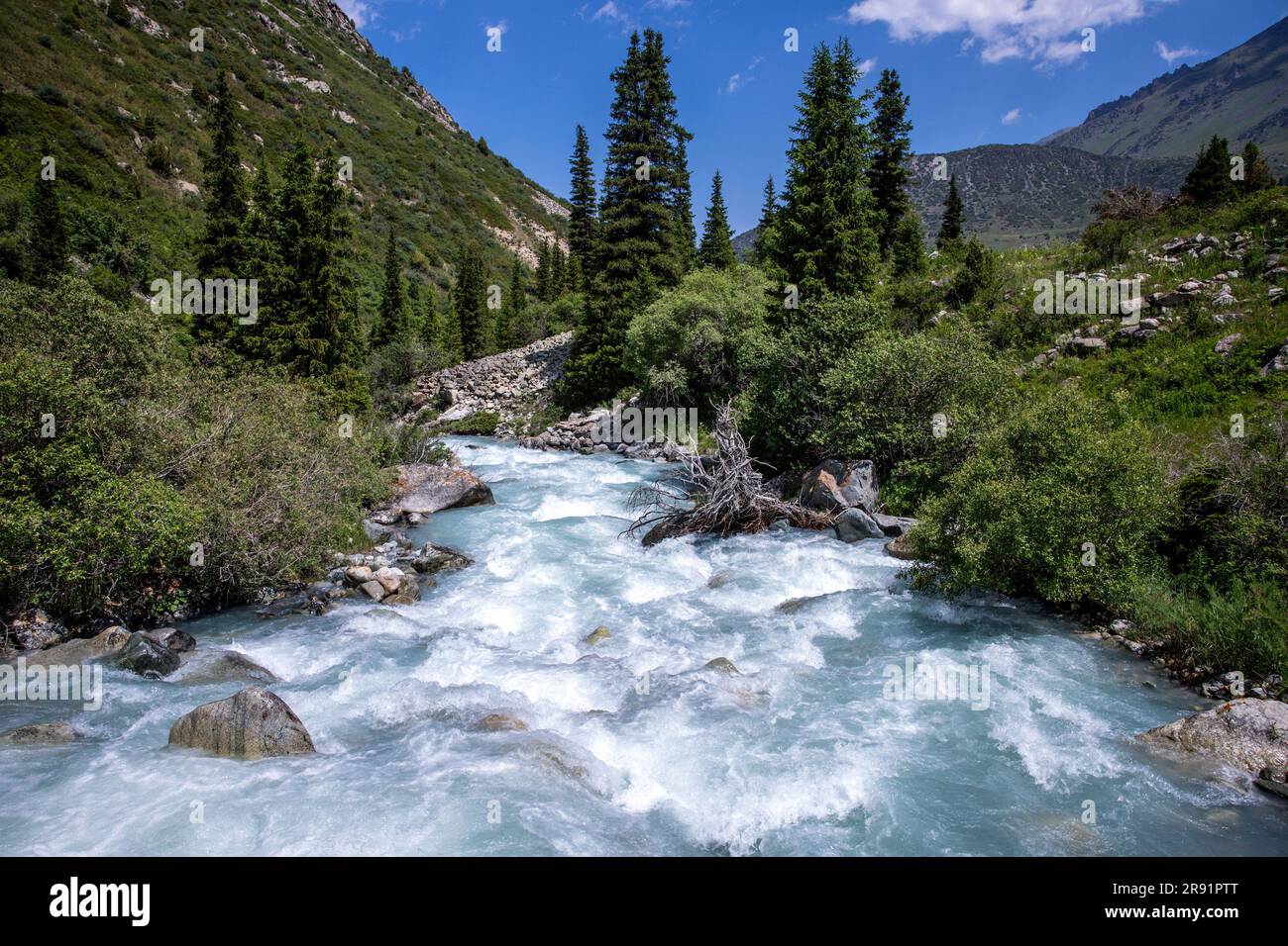 Bischkek, Kyrgyzstan. 23rd June, 2023. The Kyrgyz national park Ala Artscha (engl: colorful juniper) with the Golubin glacier. The geological consequences of climate change are particularly evident here in Kyrgyzstan. Credit: Jens Büttner/dpa/Alamy Live News Stock Photo