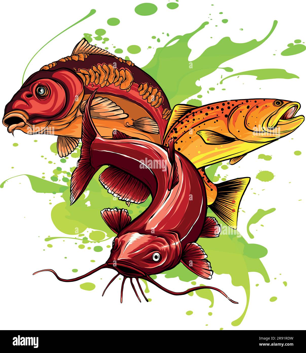 vector illustration of Various freshwater fishes design Stock Vector ...