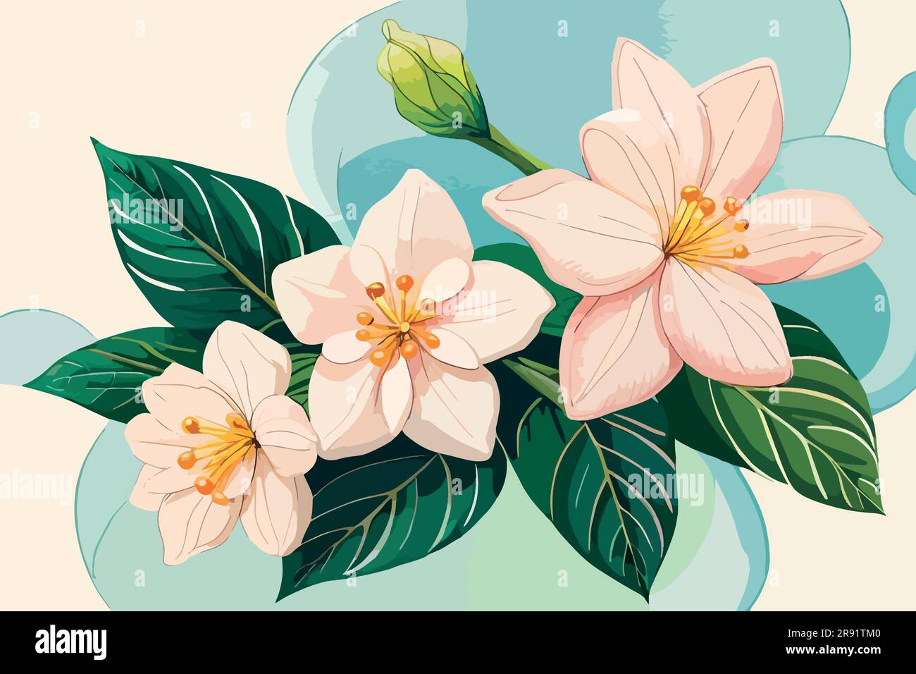 jasmine flower watercolor art Stock Vector Image & Art Alamy