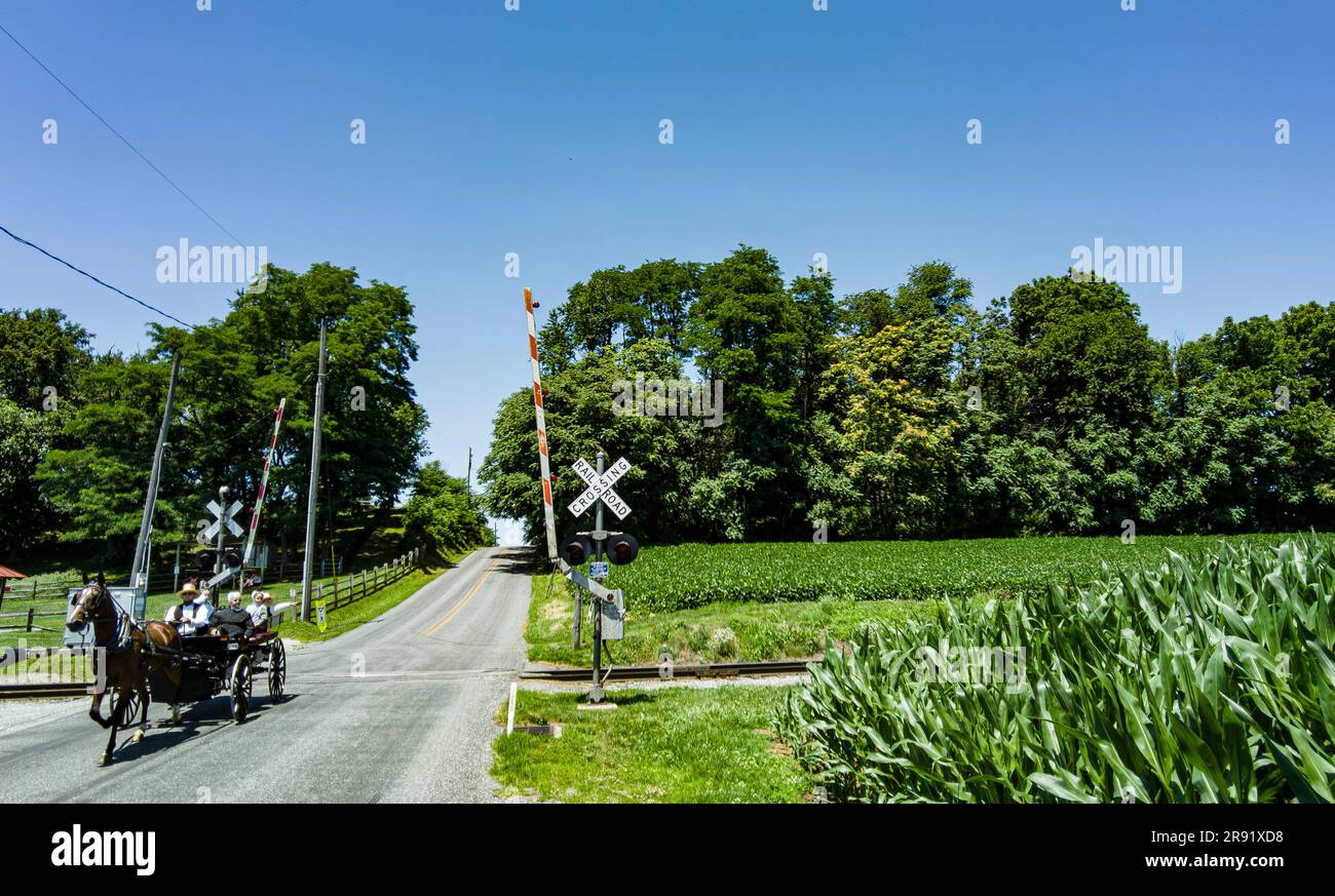 Ronks, Pennsylvania, July 3, 2023 View of An Amish Open Horse and