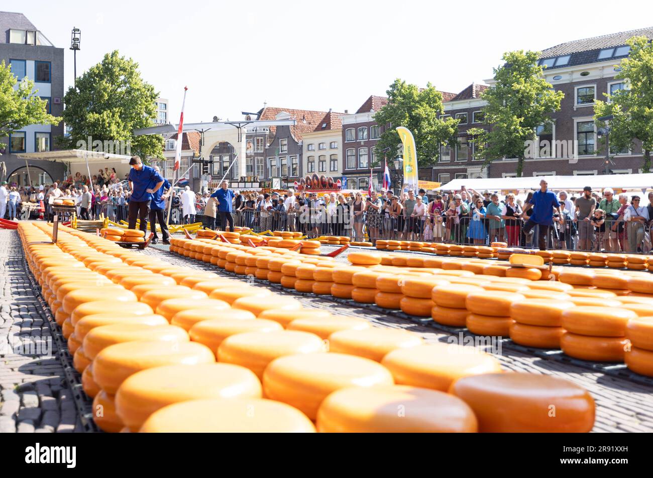 Alkmaar, The Netherlands. 23rd June, 2023. Cheeses are piled up at a