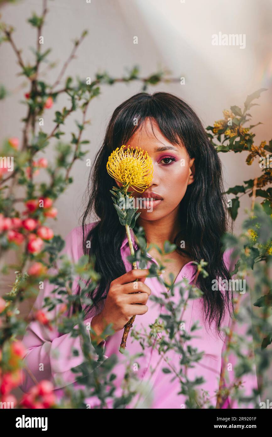 Woman covering eye with Leucospermum flower Stock Photo Alamy