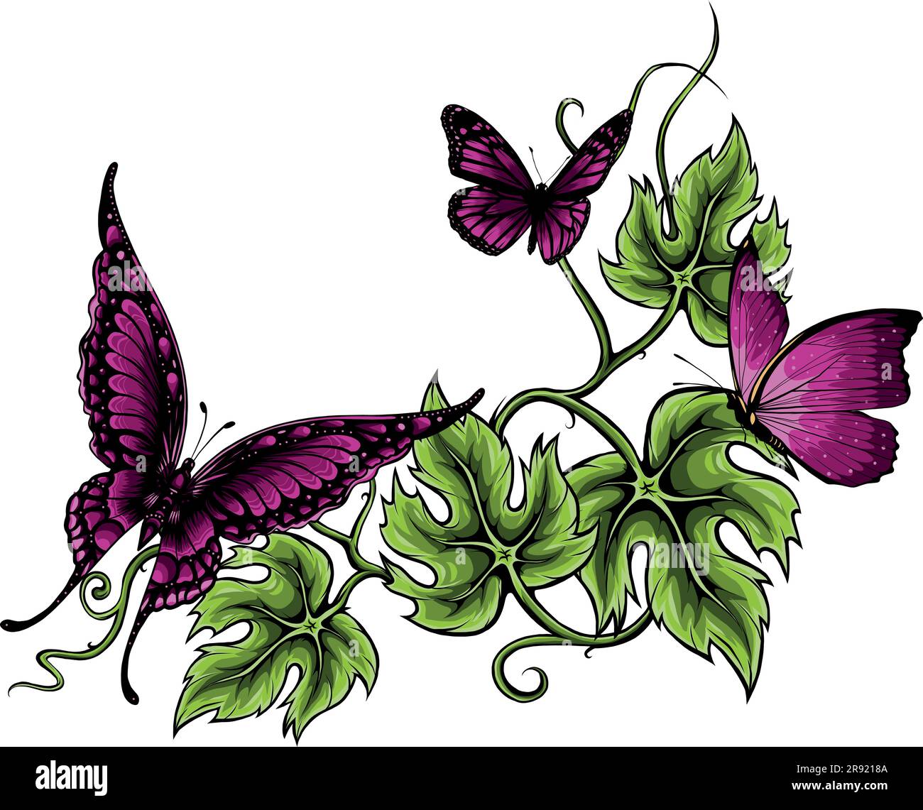 vector illustration of Butterflies and flowers isolated on white Stock ...