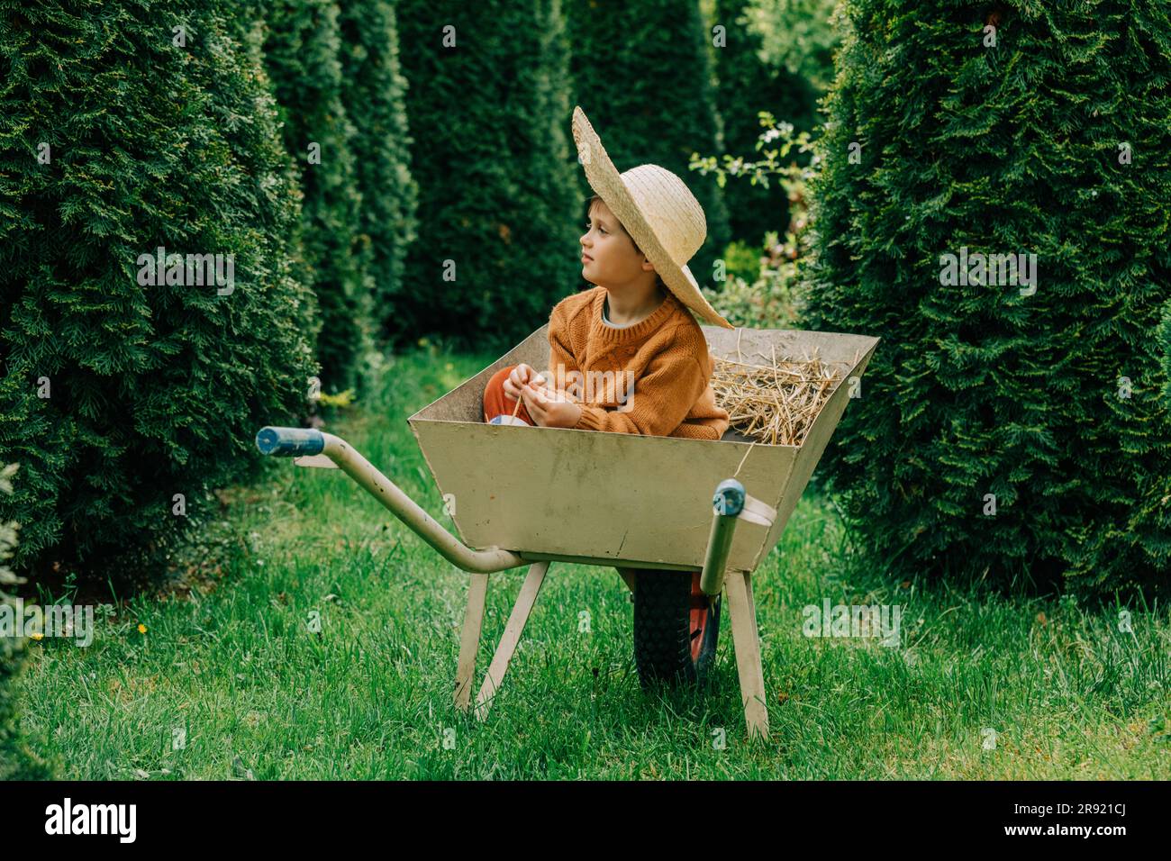 Boy wearing hat sitting in wheelbarrow at garden Stock Photo - Alamy