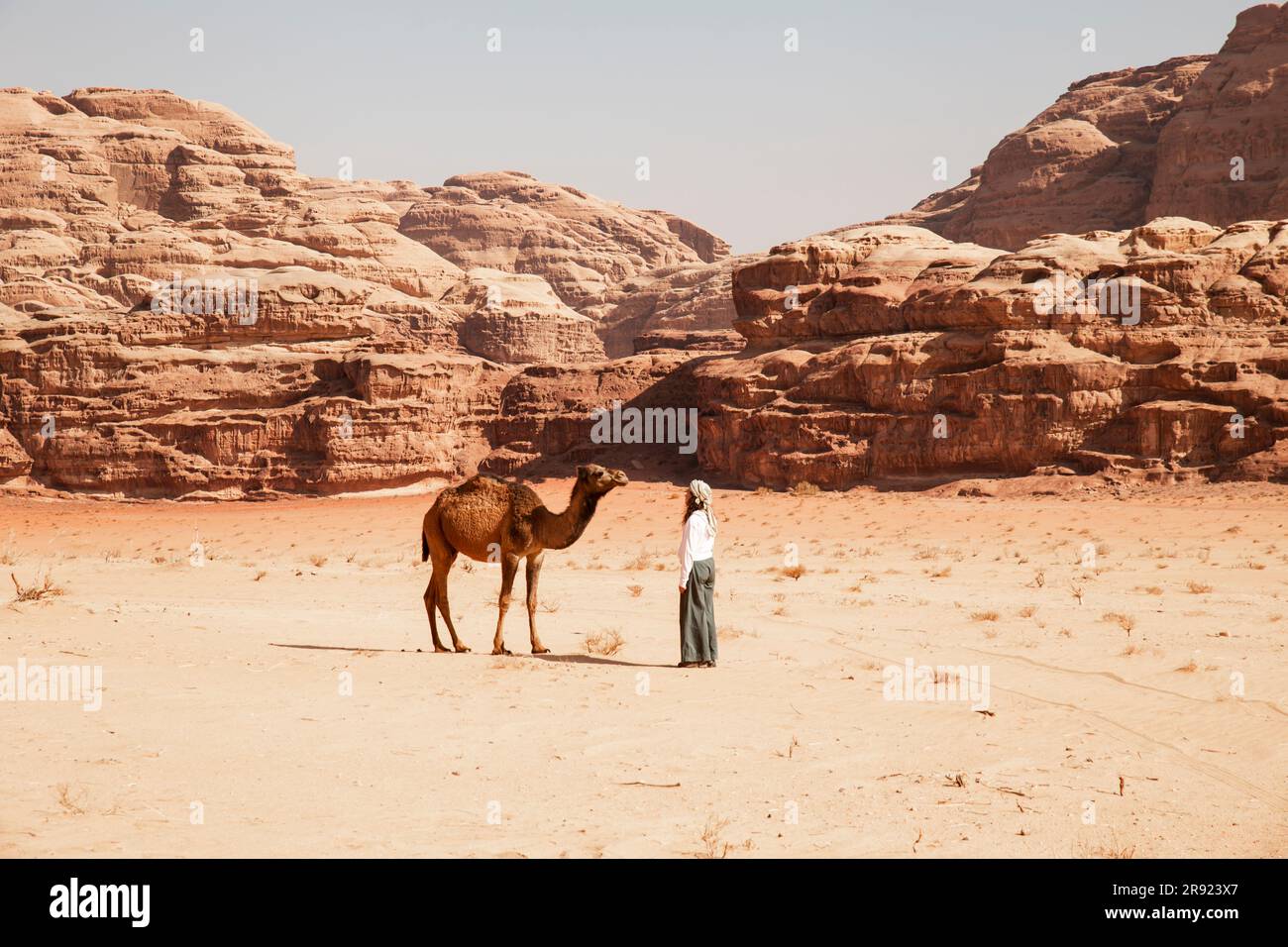 Young woman camel desert hi-res stock photography and images - Alamy