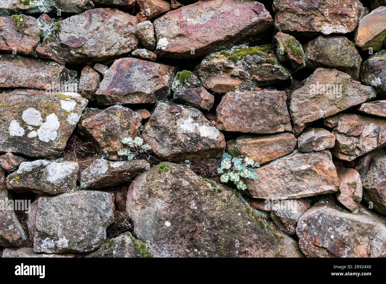 Background, pattern. Full frame shot of wet stone wall. Stock Photo