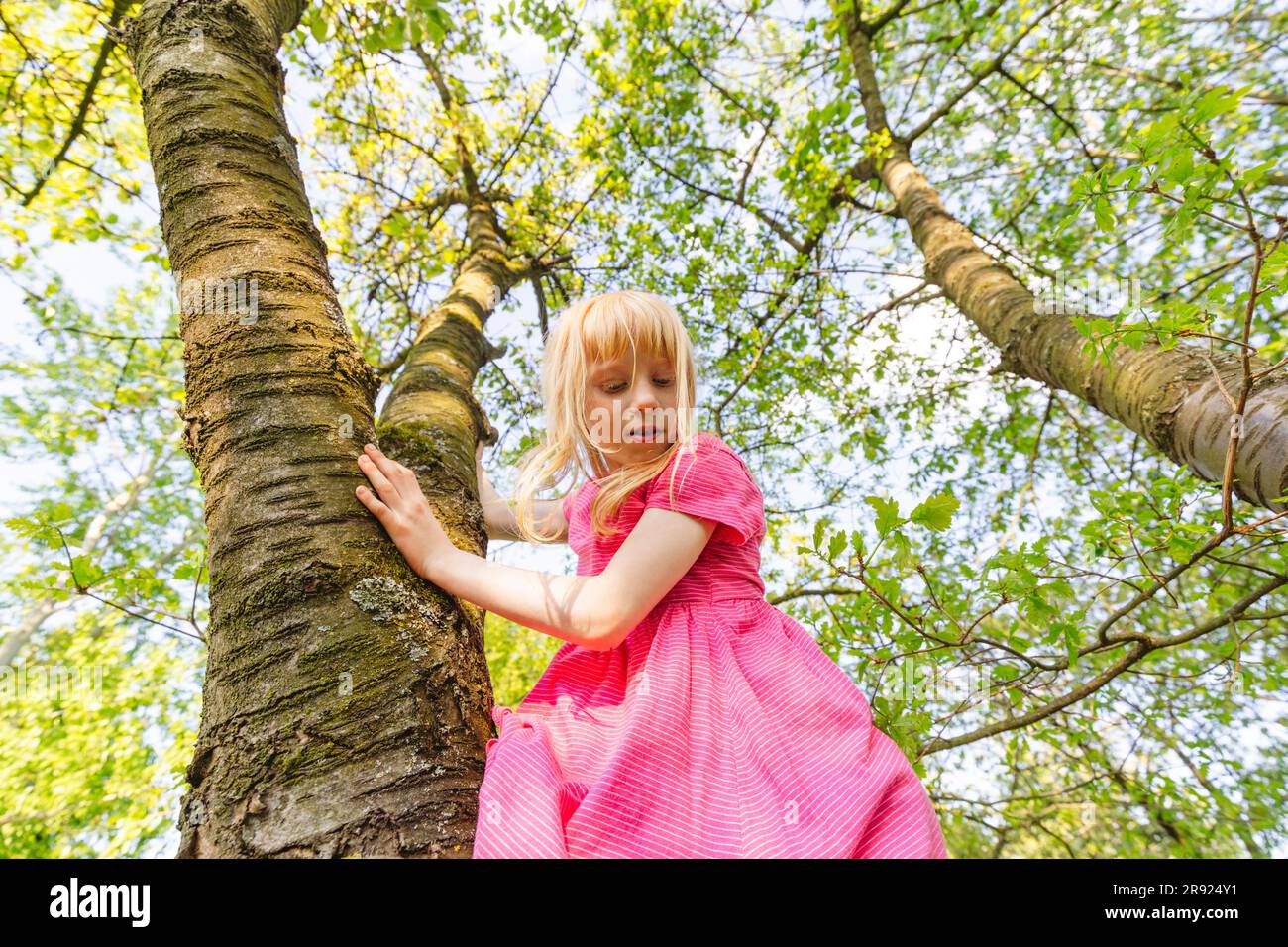 Girl climbing tree in park Stock Photo