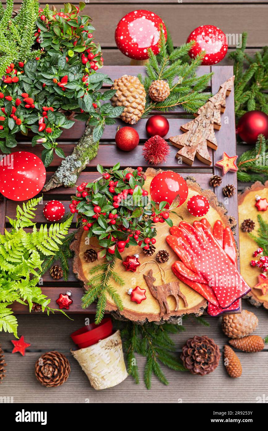 Winter plants, pine cones, Christmas decorations, wooden coasters and gardening gloves on table Stock Photo