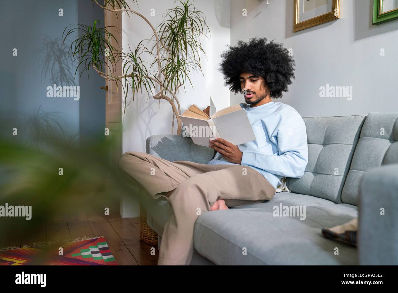 Man reading book sitting on sofa at home Stock Photo