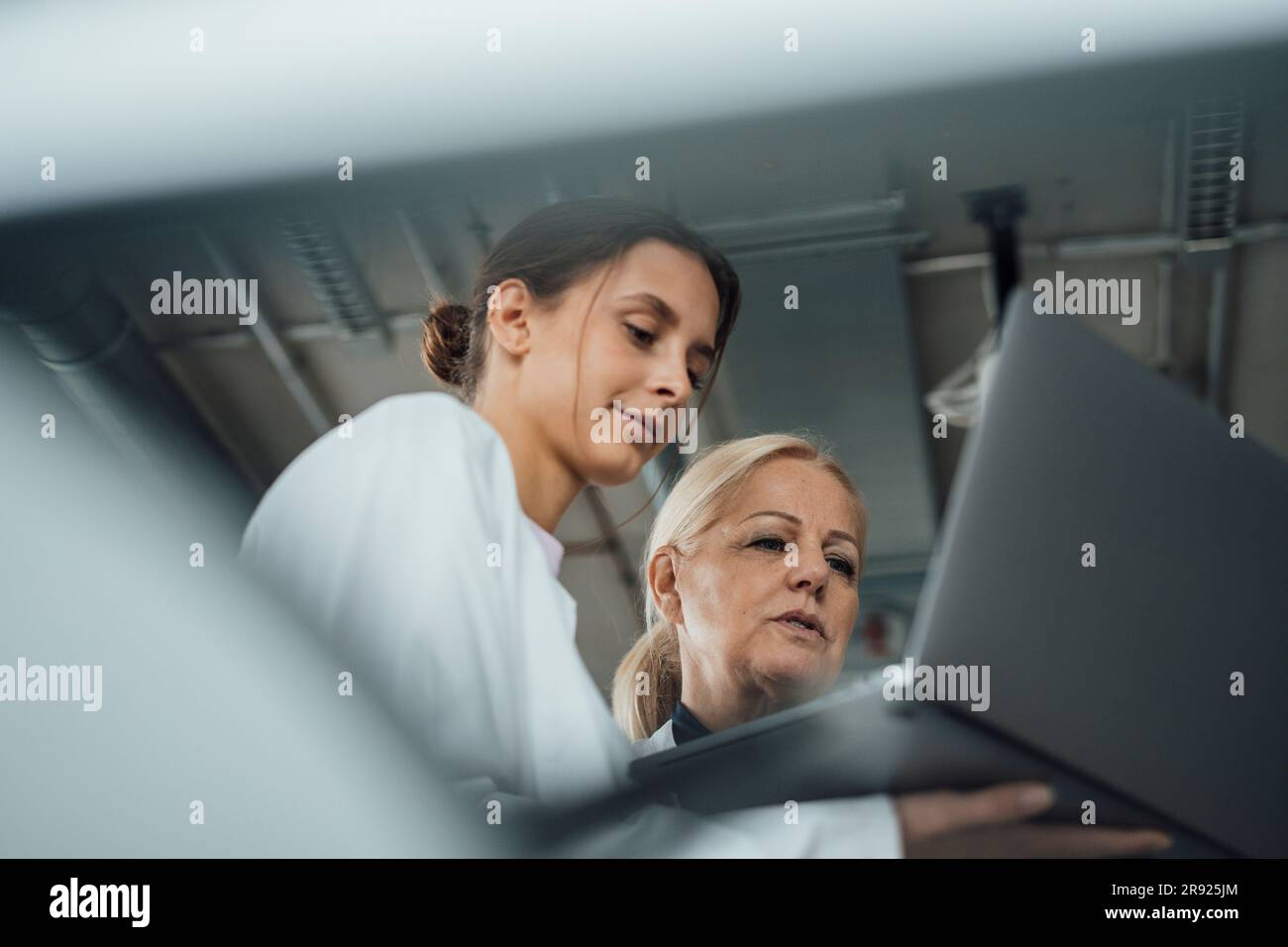 Senior scientist with young colleague using laptop Stock Photo