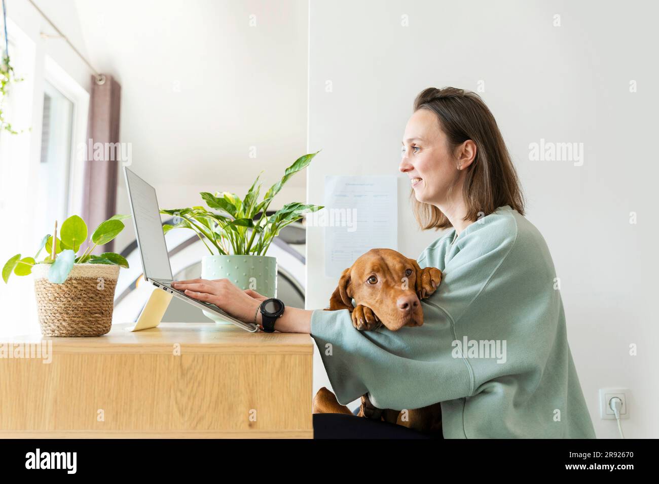Working at home with dog hi-res stock photography and images - Alamy