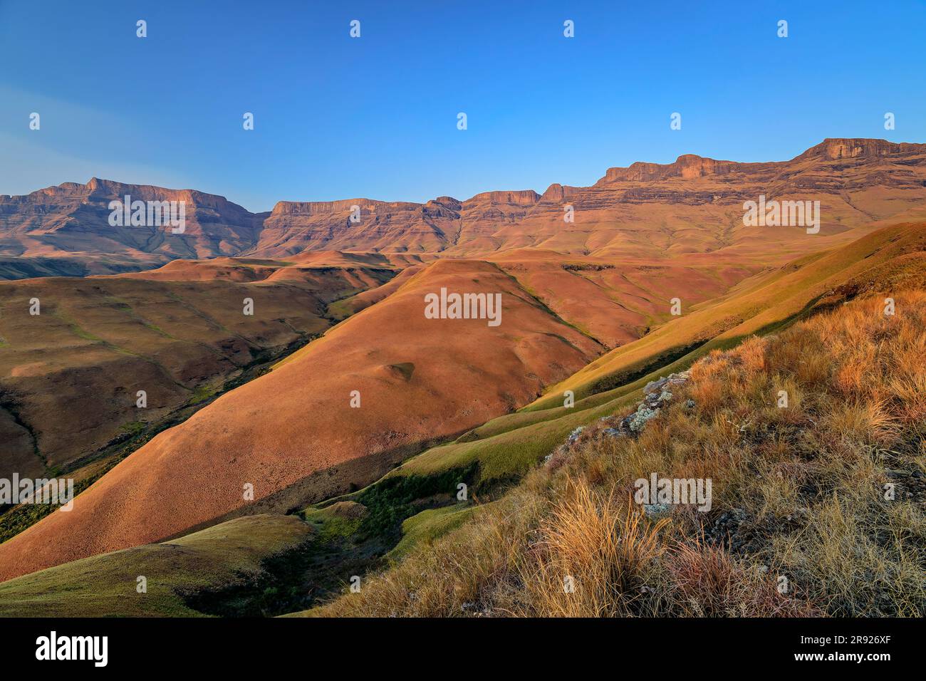 Giant's Castle seen from Langalibalele ridge at KwaZulu-Natal, Drakensberg, South Africa Stock Photo