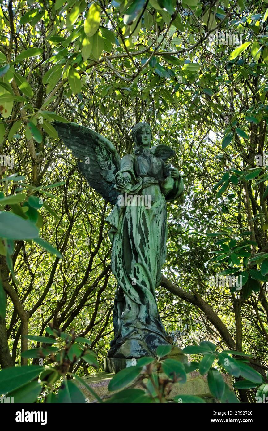 Vertical view of an angel statue in a cemetery in the middle of bush