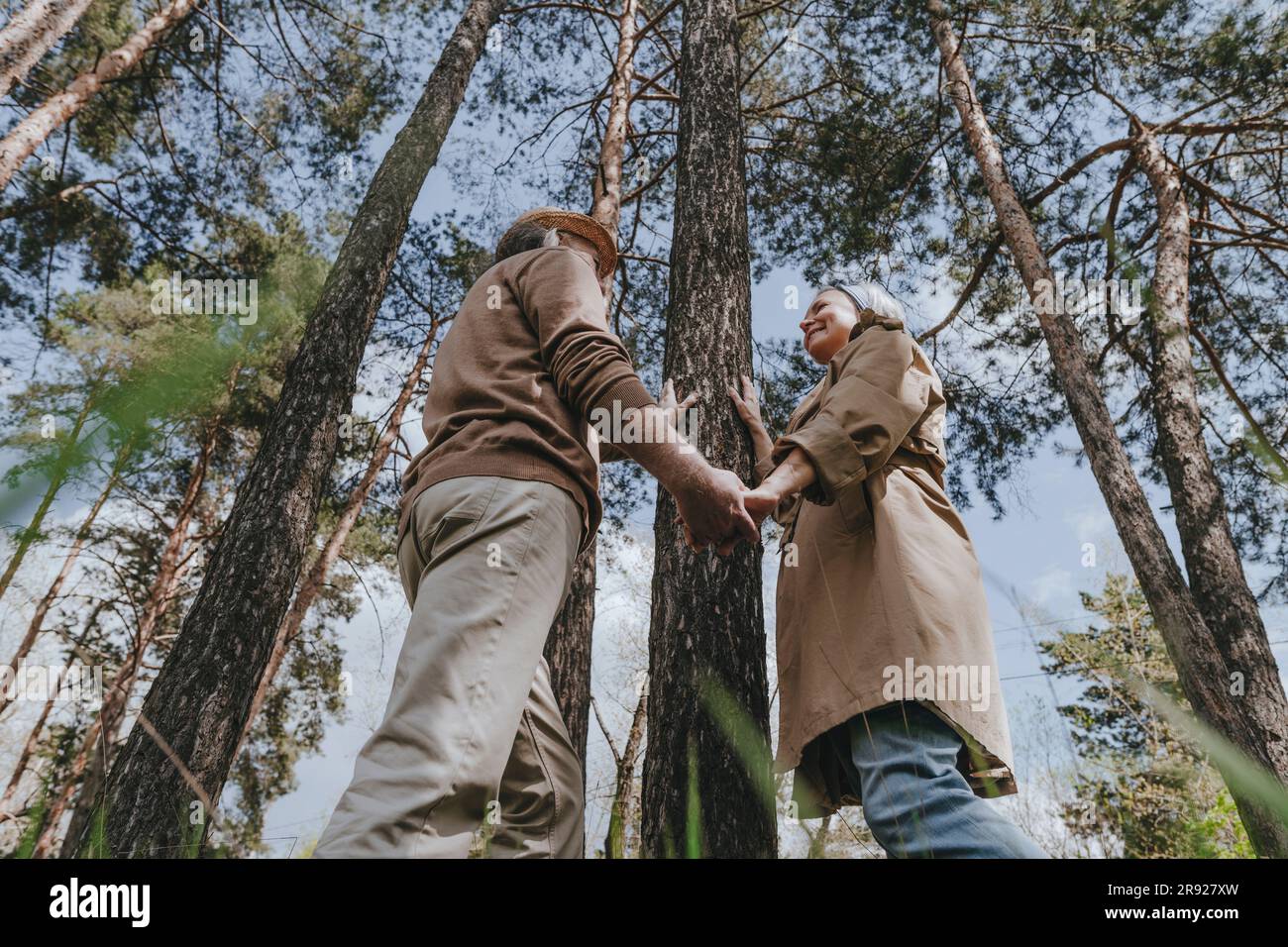 Romantic couple holding hands by tree in forest Stock Photo - Alamy