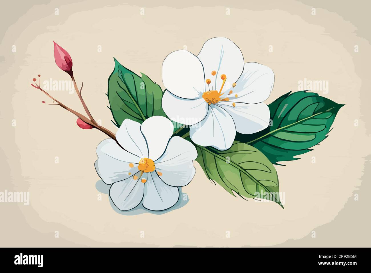 Discover more than 130 jasmine plant drawing - vietkidsiq.edu.vn