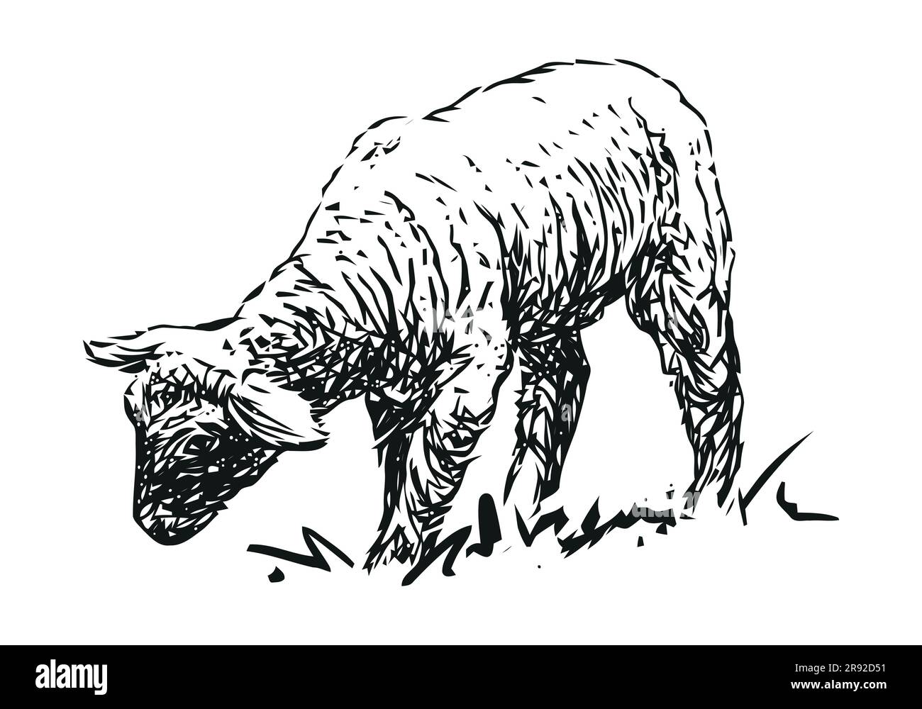 lamb farm animal, hand drawn black and white vector illustration