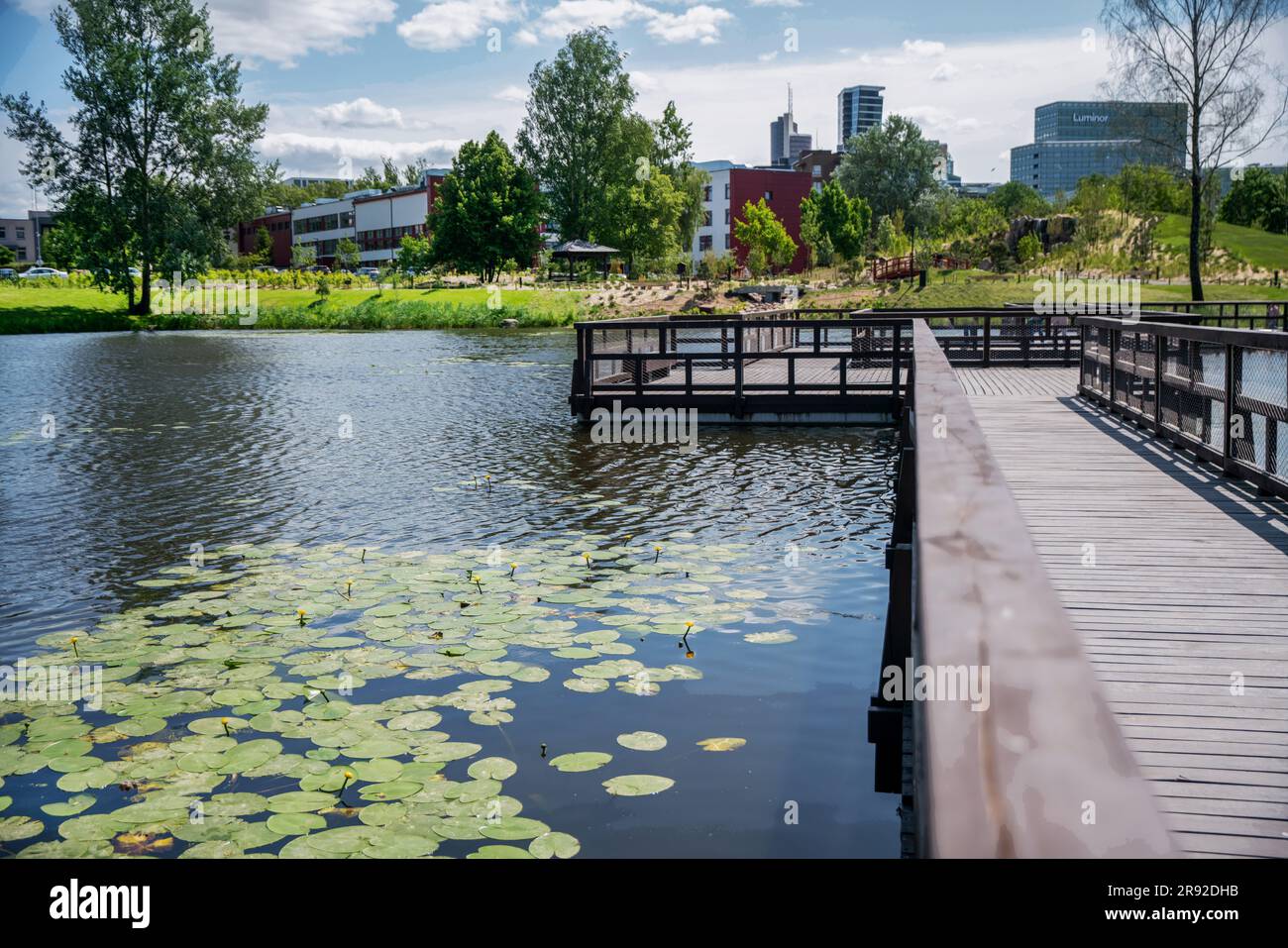Long wooden zigzag  bridge among pond  in Japanese garden in Vilnius and yellow water lillies in summer: new park free of charge  in Lithuanian capita Stock Photo