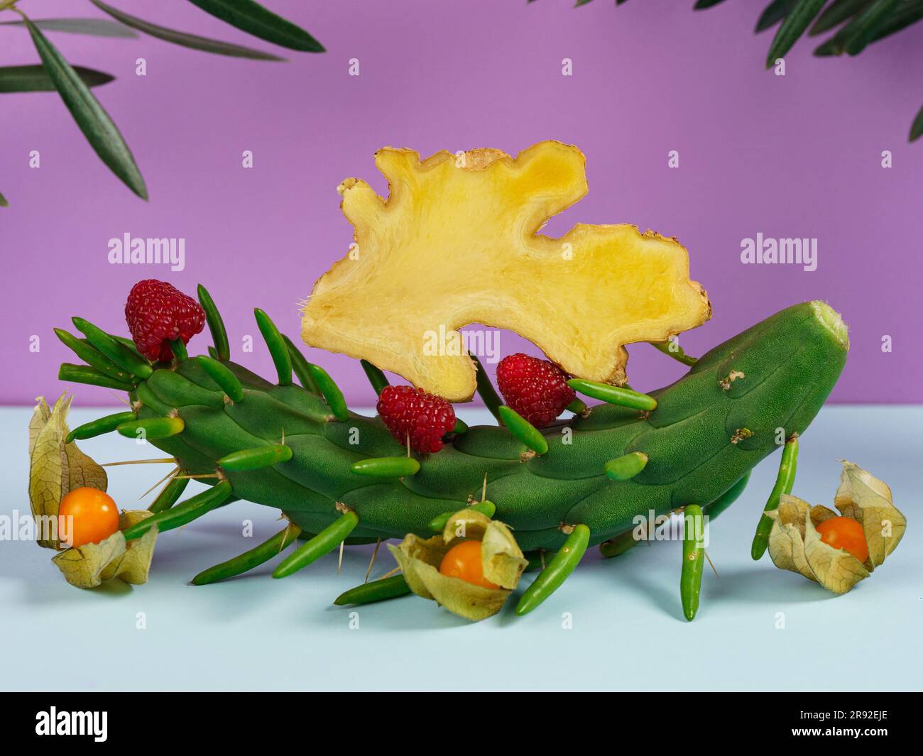 Berry still life with ginger on a cactus prickly pear subulata Stock Photo